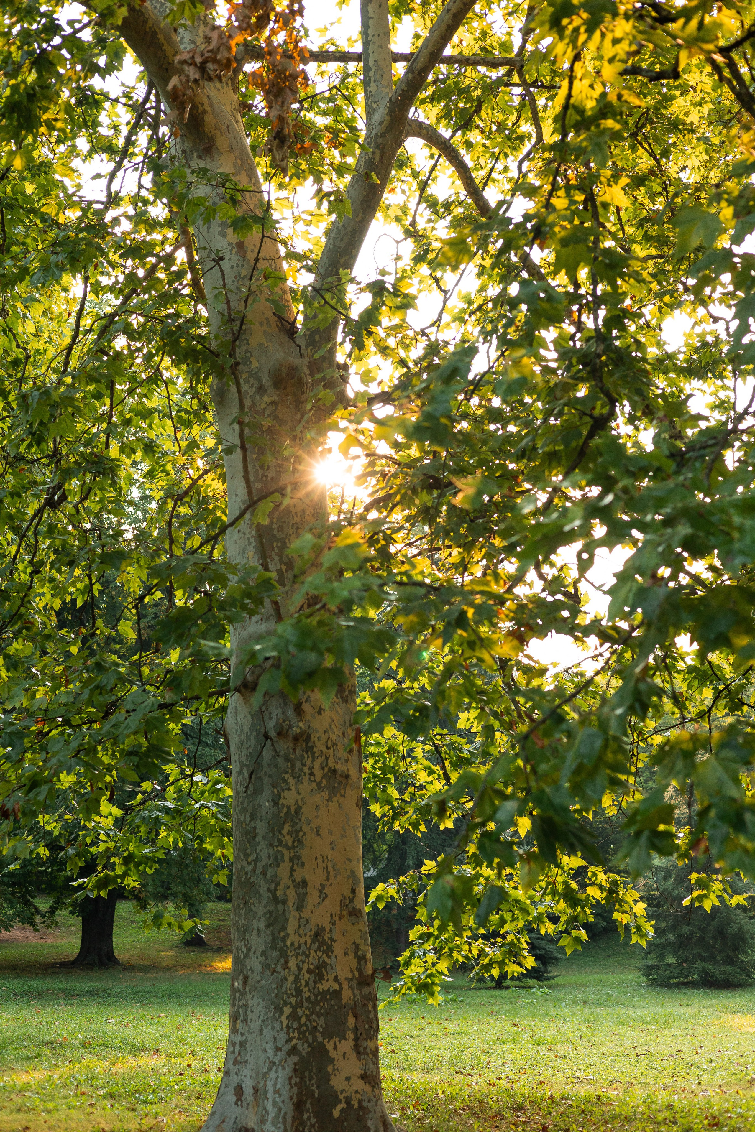 Мария и Санти. Фотограф-анималист | Белград