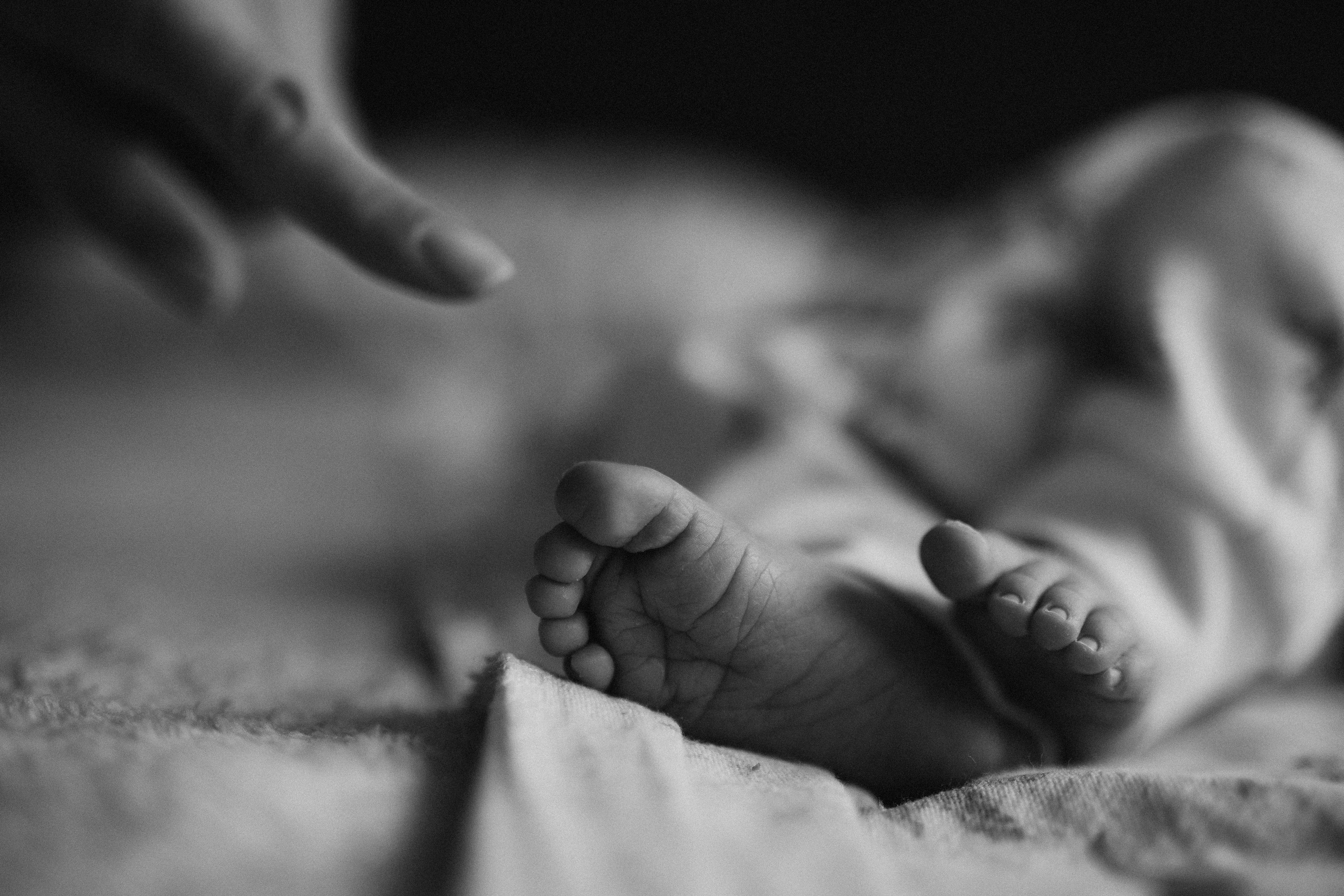 7 dias do Felipe. Fotografa de família e crianças em Florianópolis SC Daria Ermolaev