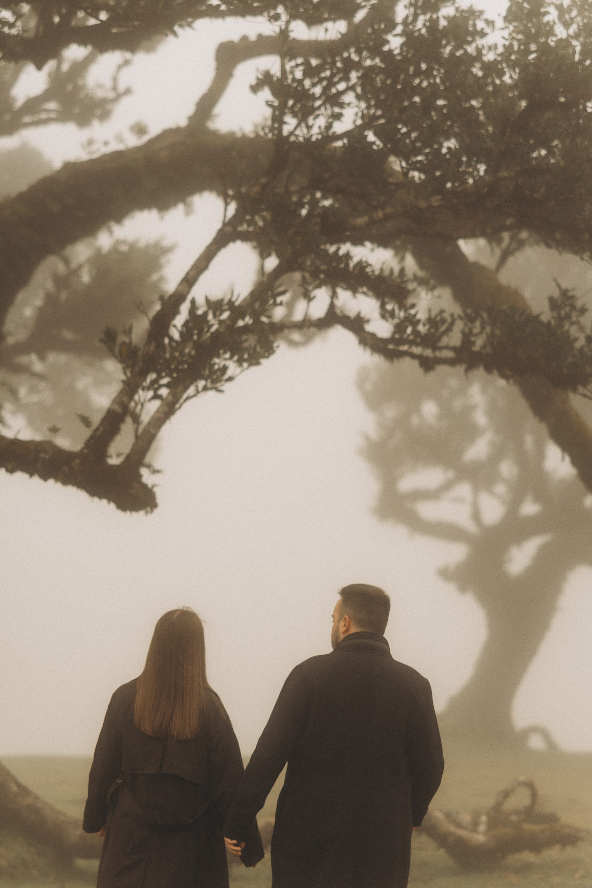 Couple photoshoot in Fanal Forest Madeira PortugalA romantic couple standing amidst the ancient laurel trees of Fanal Forest, Madeira, surrounded by a mystical fog that adds an ethereal touch to the scene