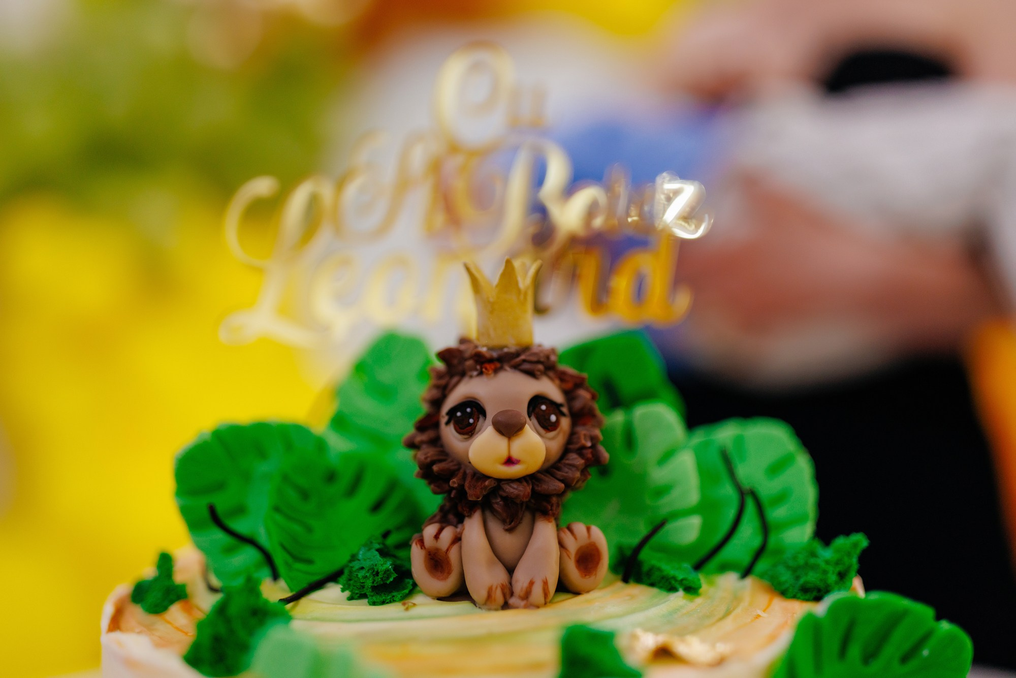 Leonard. Wedding photographer and videographer