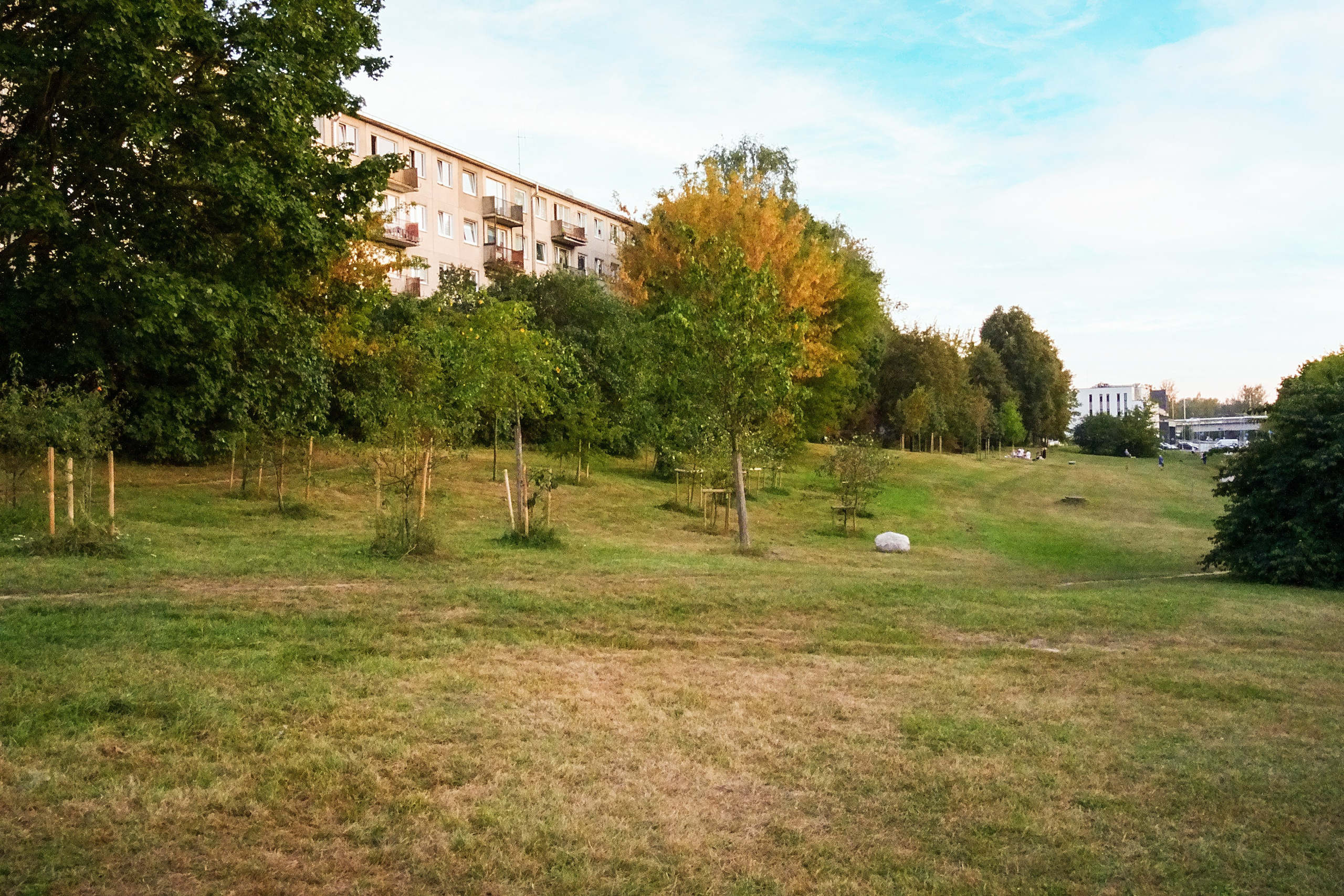 Vileišio g. 24. Elina Sapiega fotografė Vilniuje
