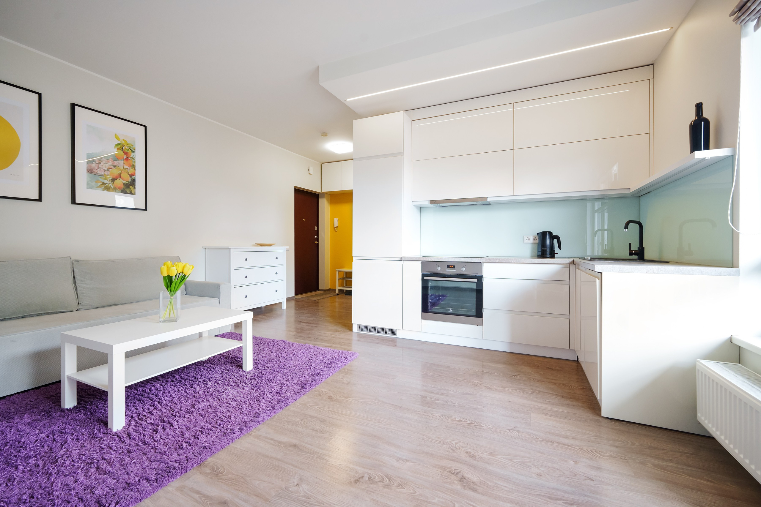 Balčikonio g. 7. Elina Sapiega fotografė Vilniuje