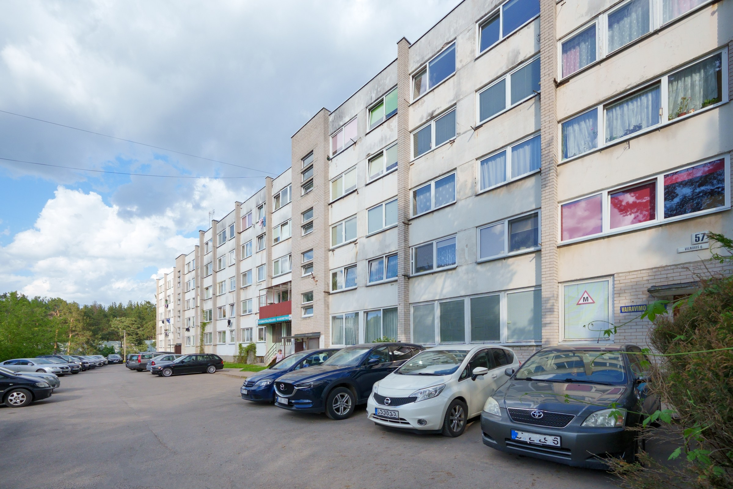 Grigiškes, Vilniaus g. Elina Sapiega fotografė Vilniuje