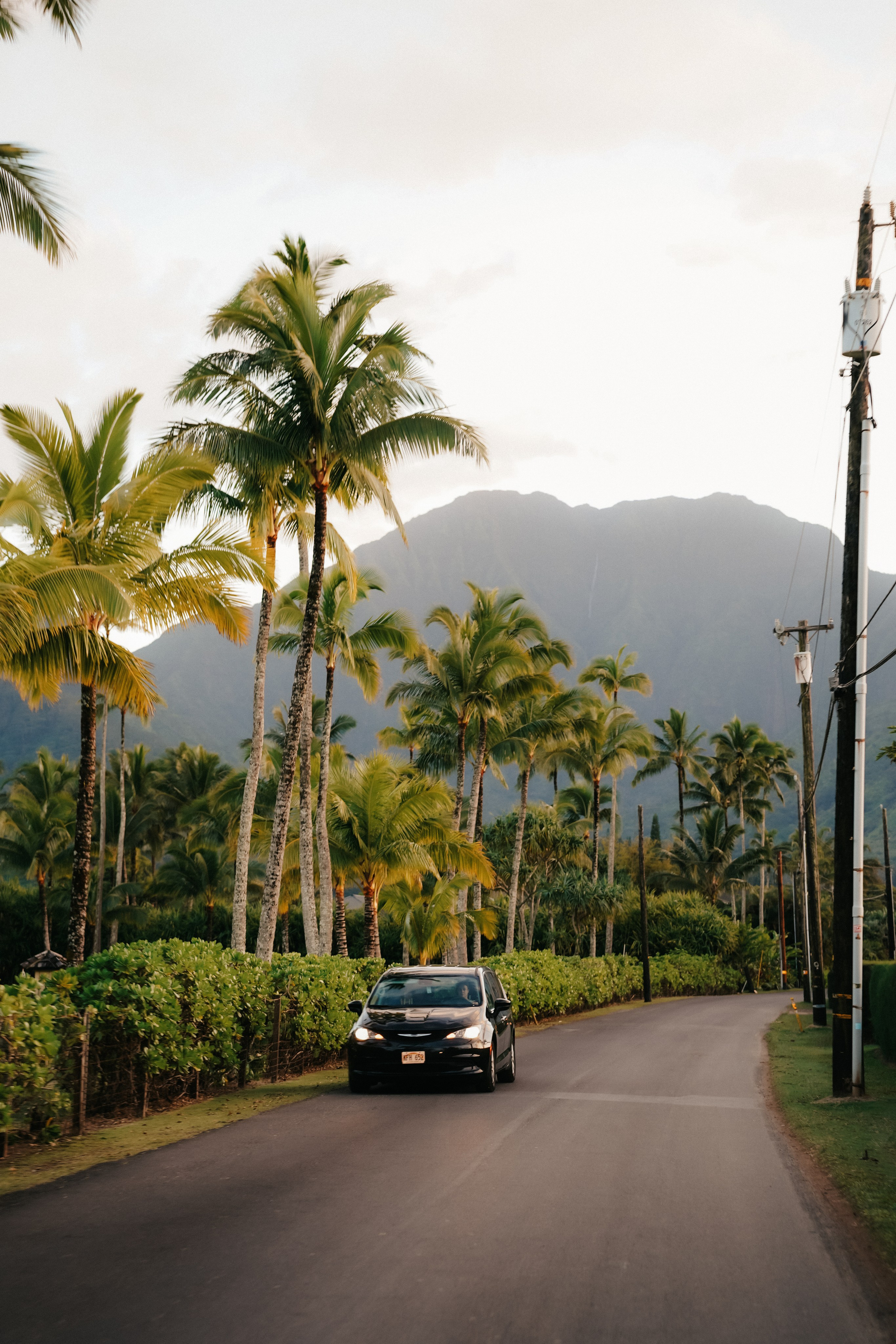 Into the Wild. Sophia Young — NYC Photographer & Filmmaker