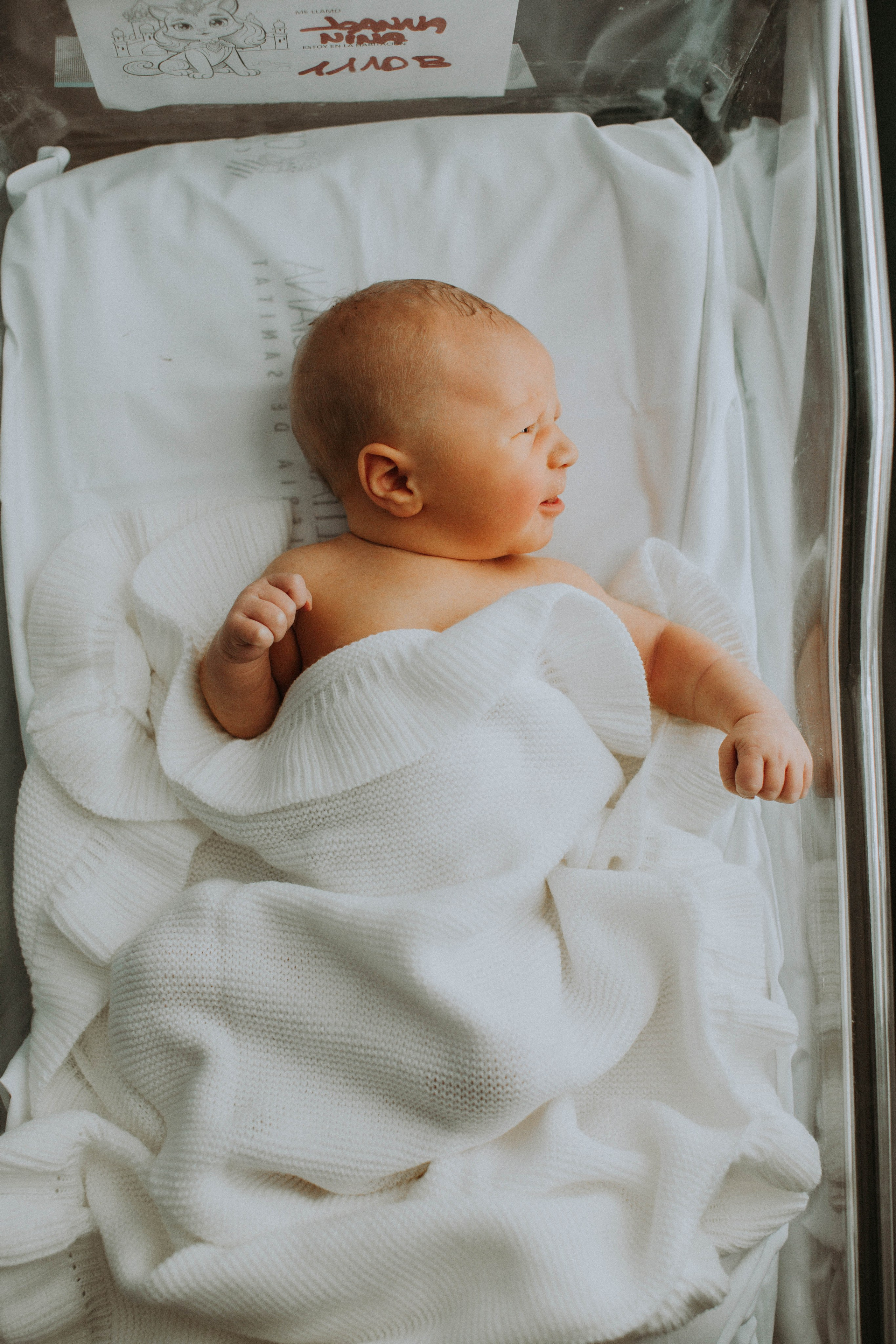 Fresh 48. Фотограф в Испании: Бенисса, Кальпе, Бенидорм, Аликанте Виктория Гунн