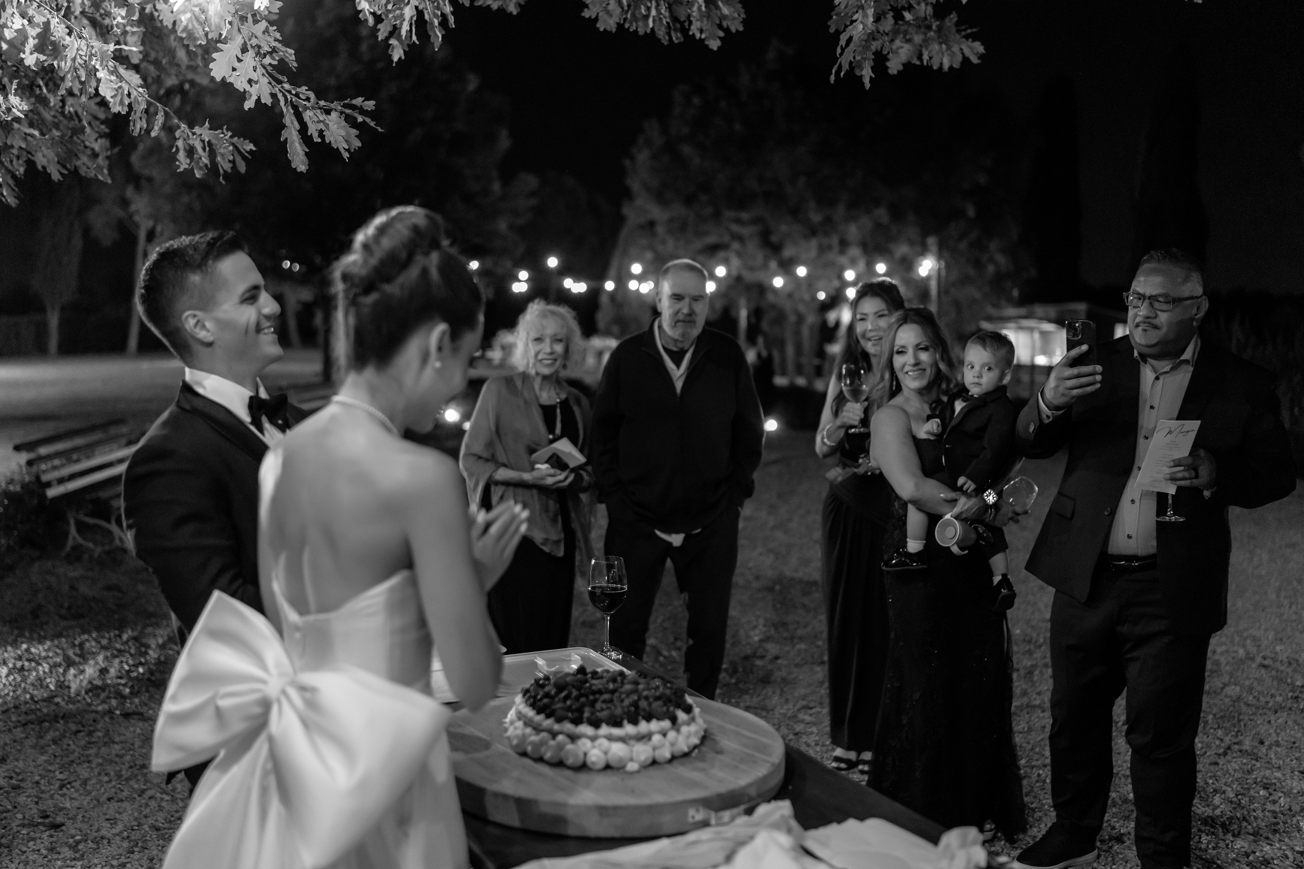 Dom&Ally. Весільний фотограф Вікторія Саврук