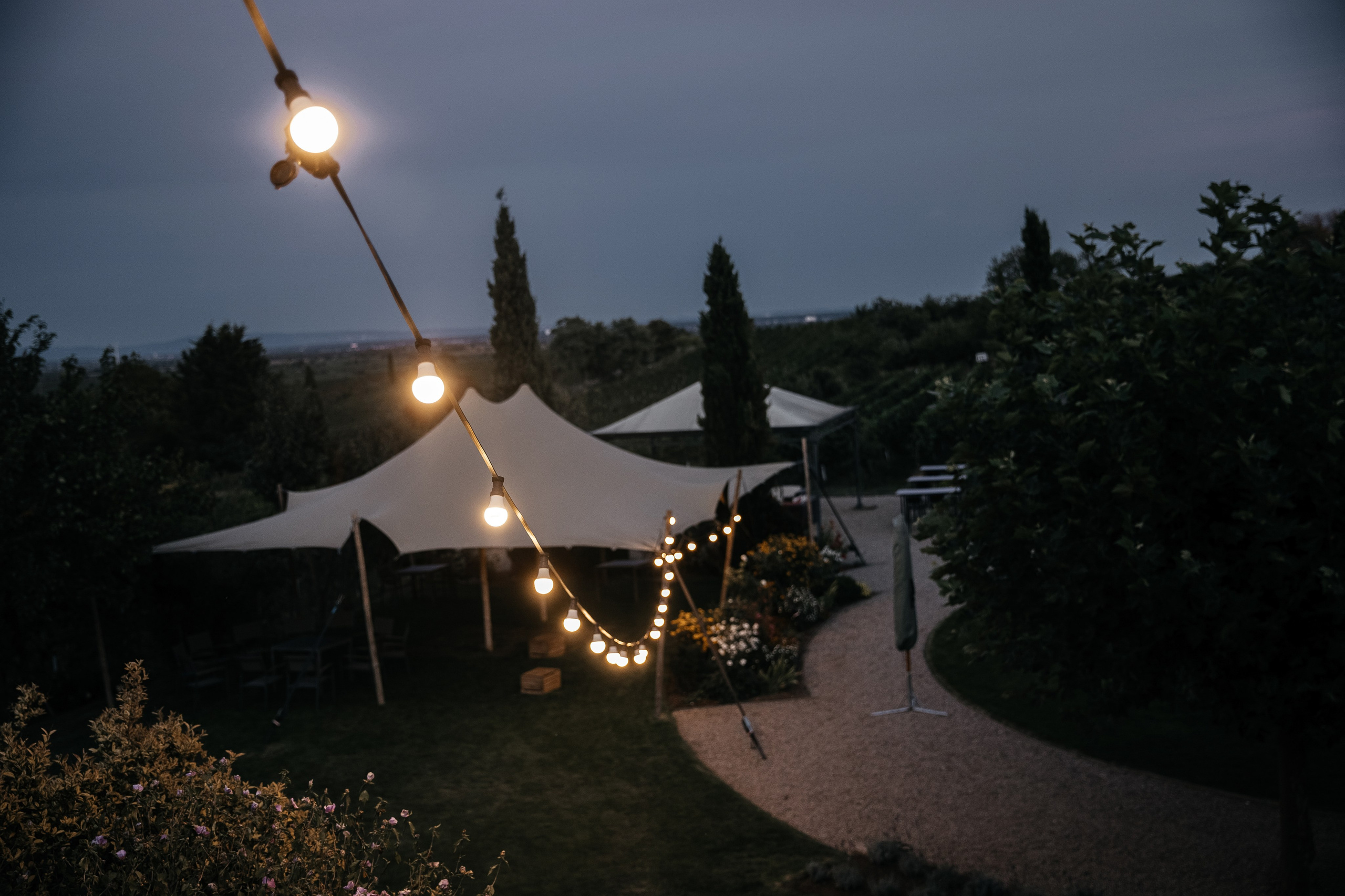 Hochzeiten. Familien-, Hochzeits- und Newbornfotografin Neustadt an der Weinstraße