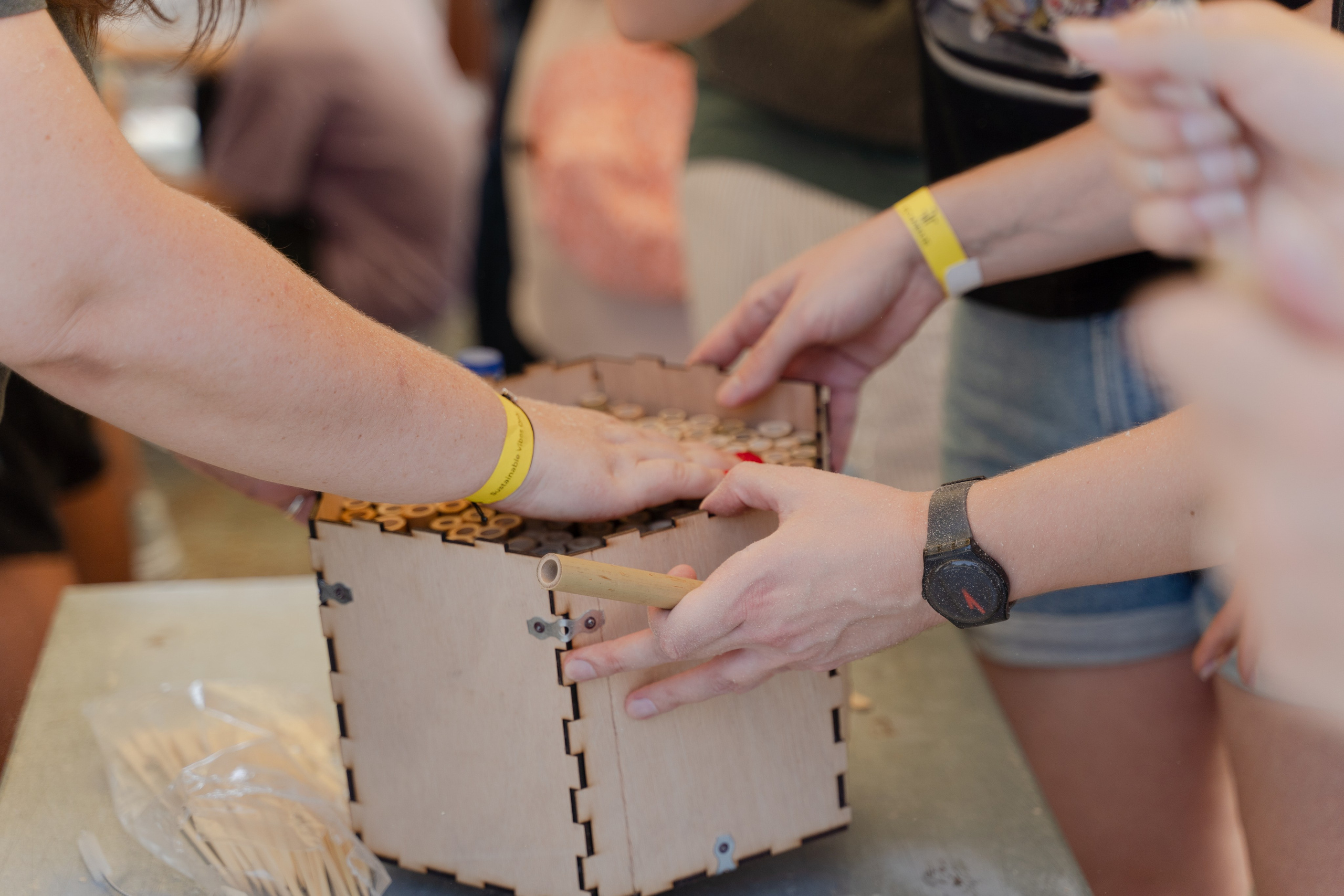 Events. Maryna Avramenko Photographer