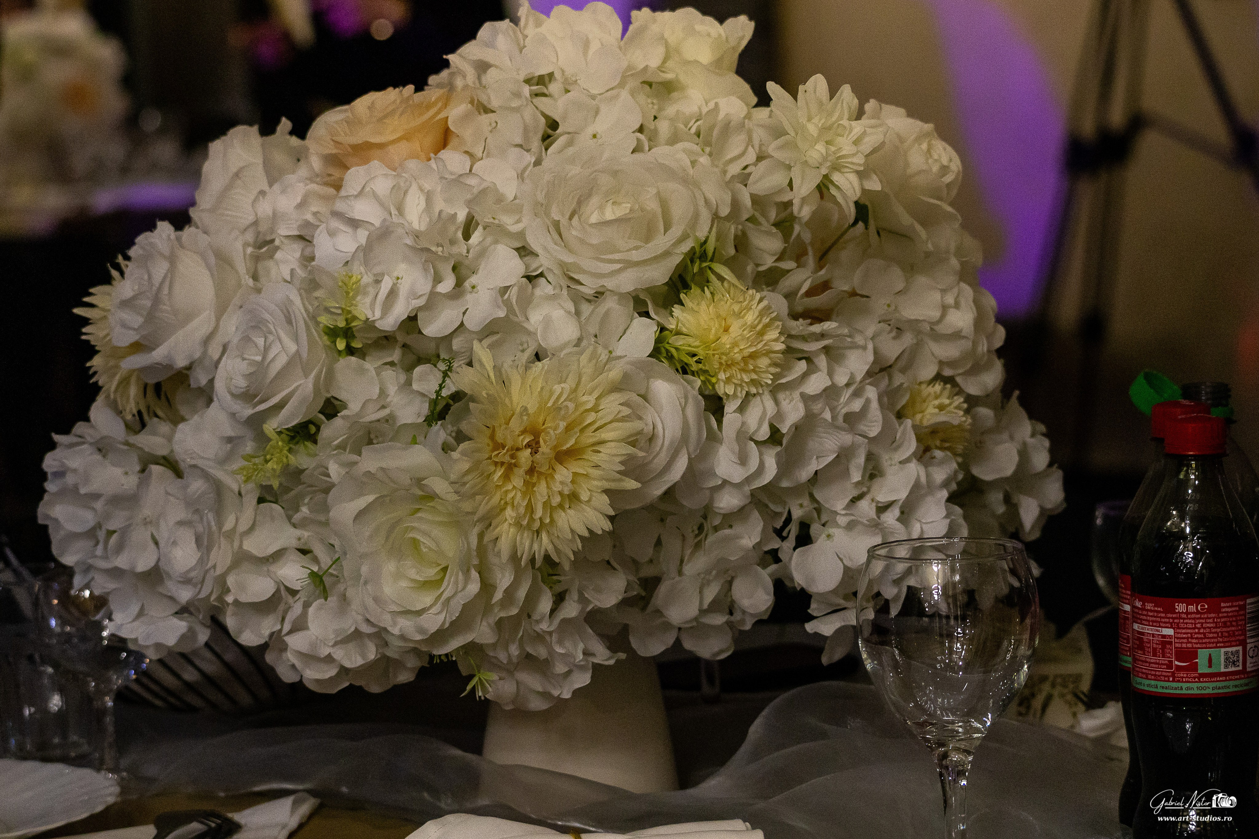 Hai-Hui Birnova. Gabriel Nistor Art-Studios - Fotografo / Videografo Iasi