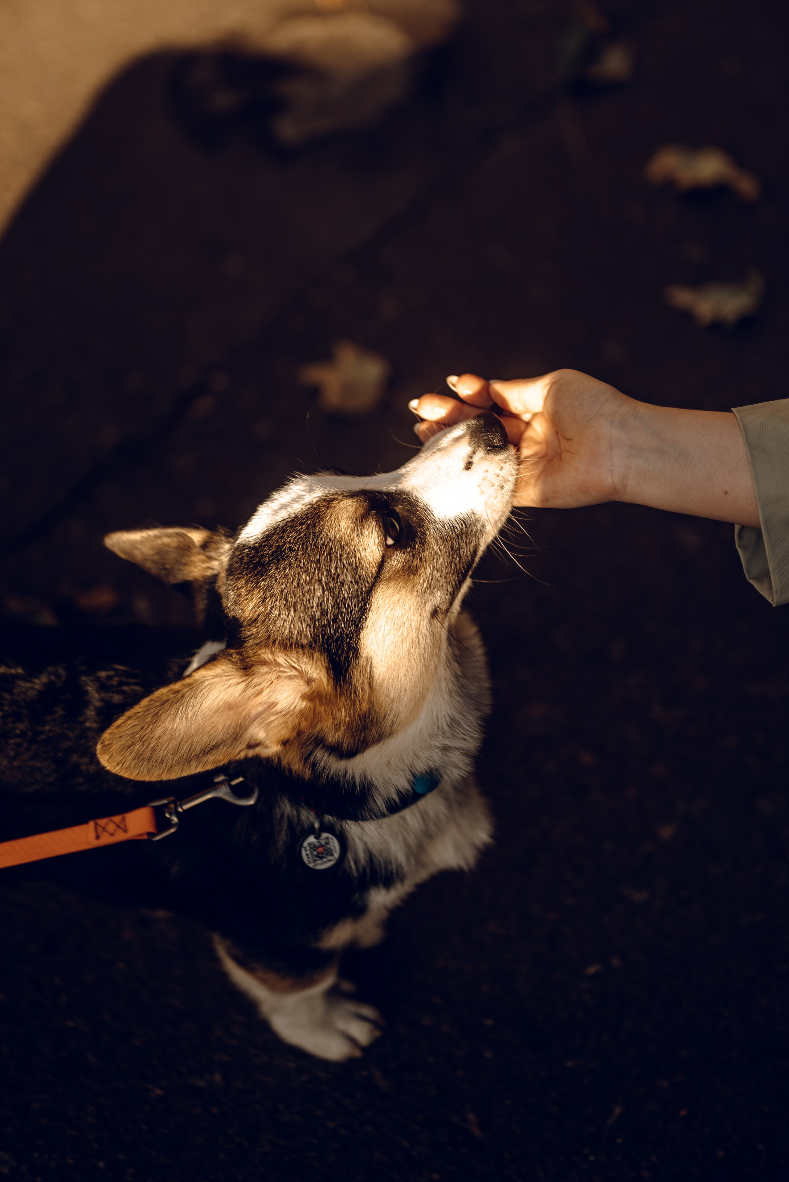 Анна, Назар и Морти. Фотограф Ирина Новикова