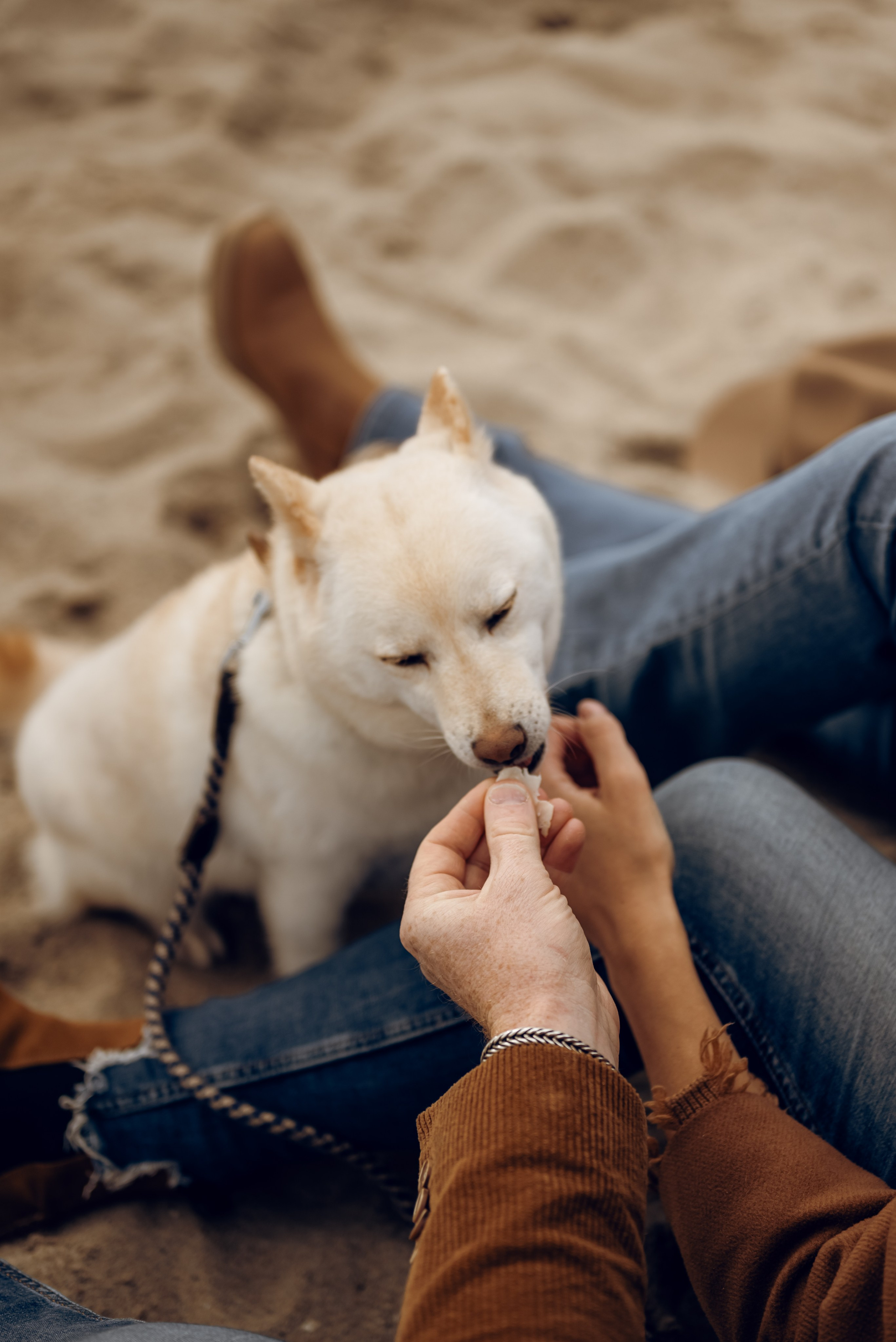 Katya & Nick. Photographer Irina Novikova