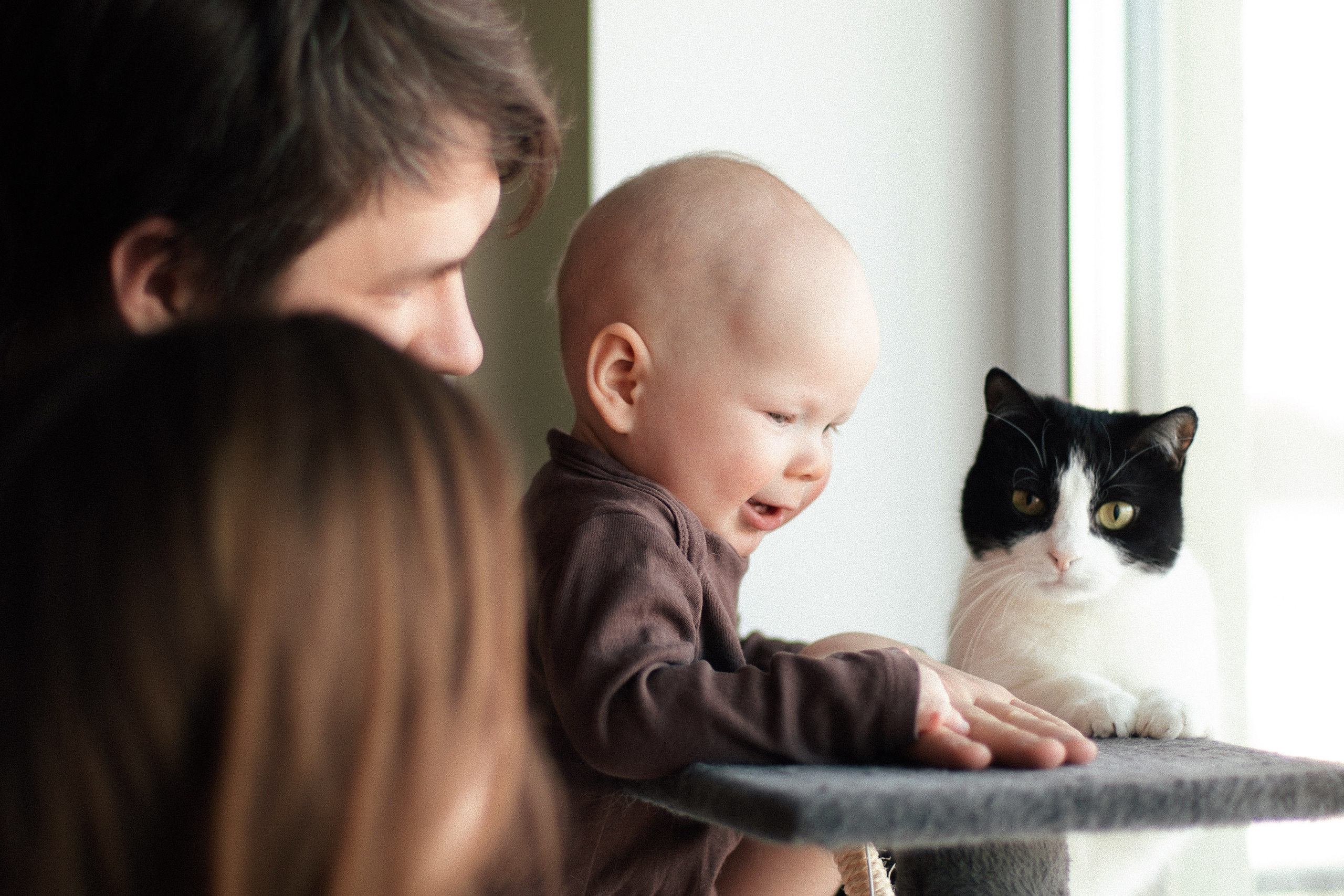 Саша, Леша и Ада. Главная