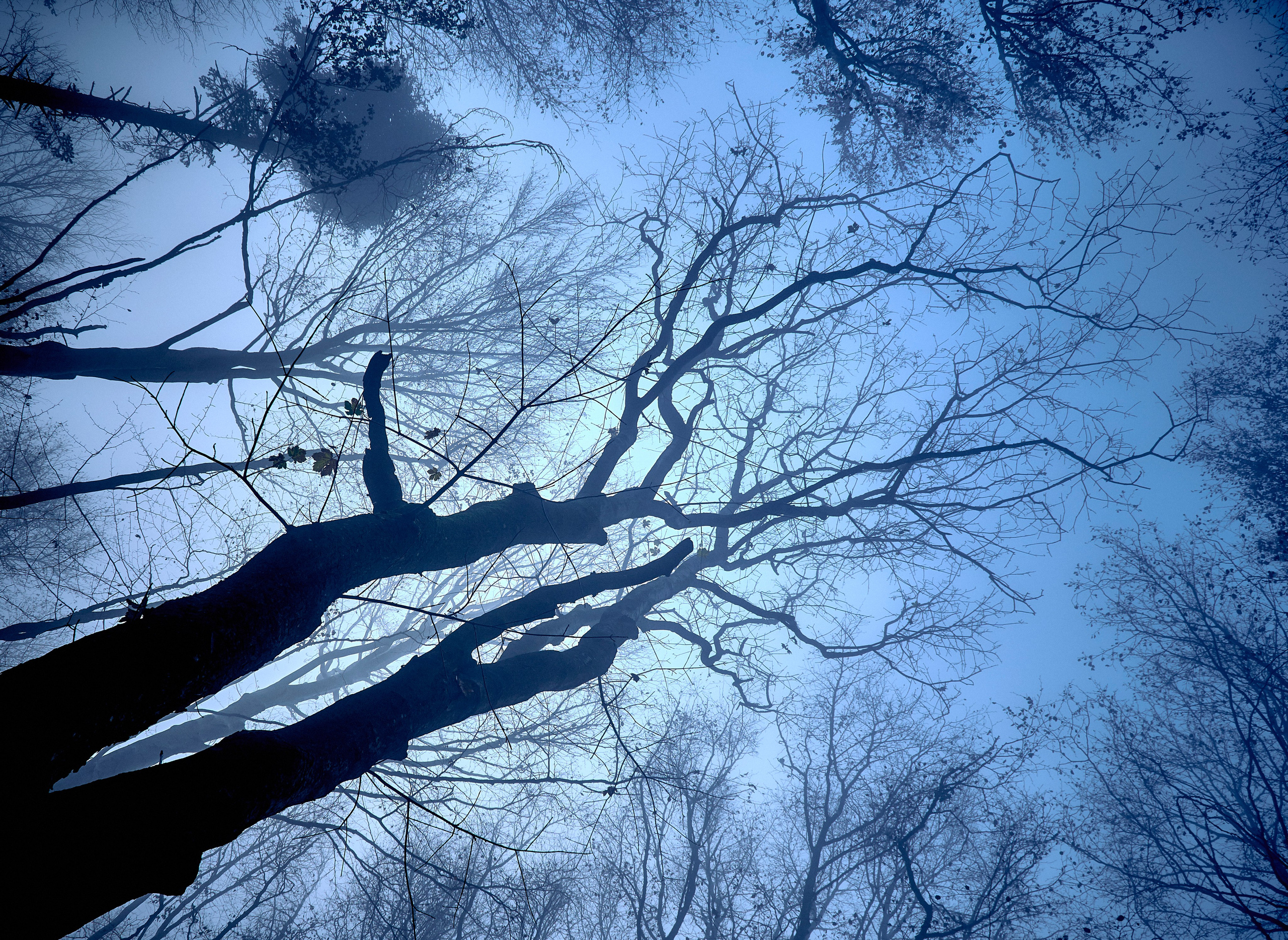 Бещады — здесь остановилось время. Андрей Шипилов — Фотография & Видеография