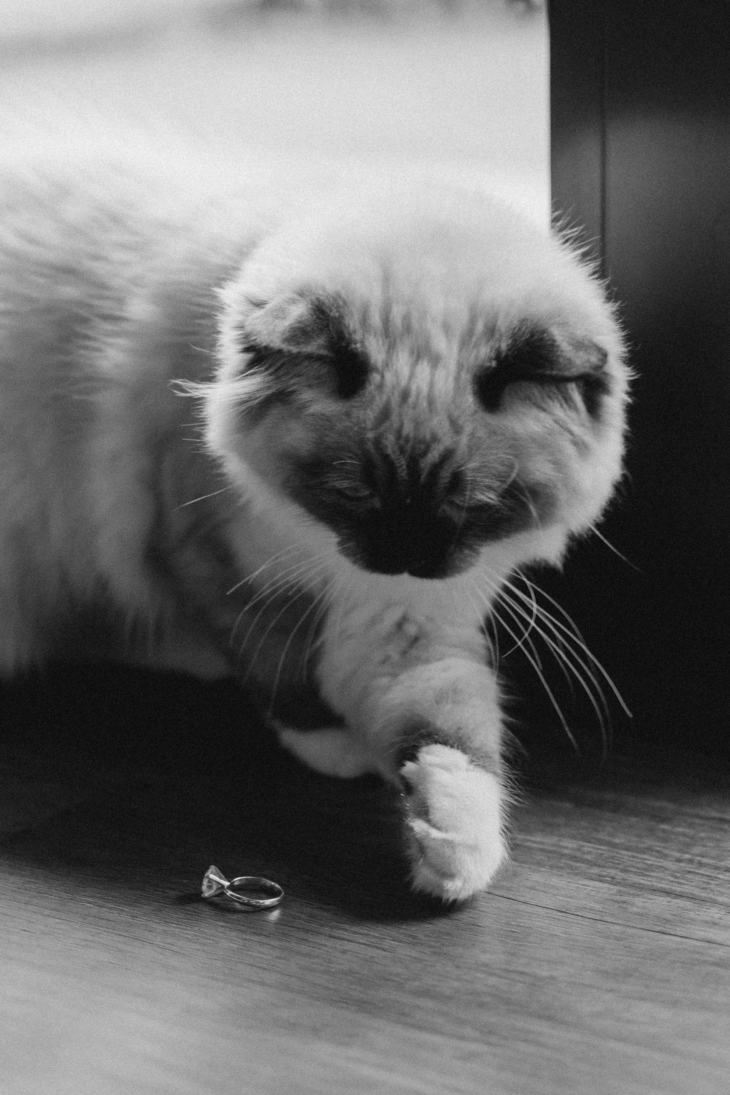 Wedding in Prague’s heart