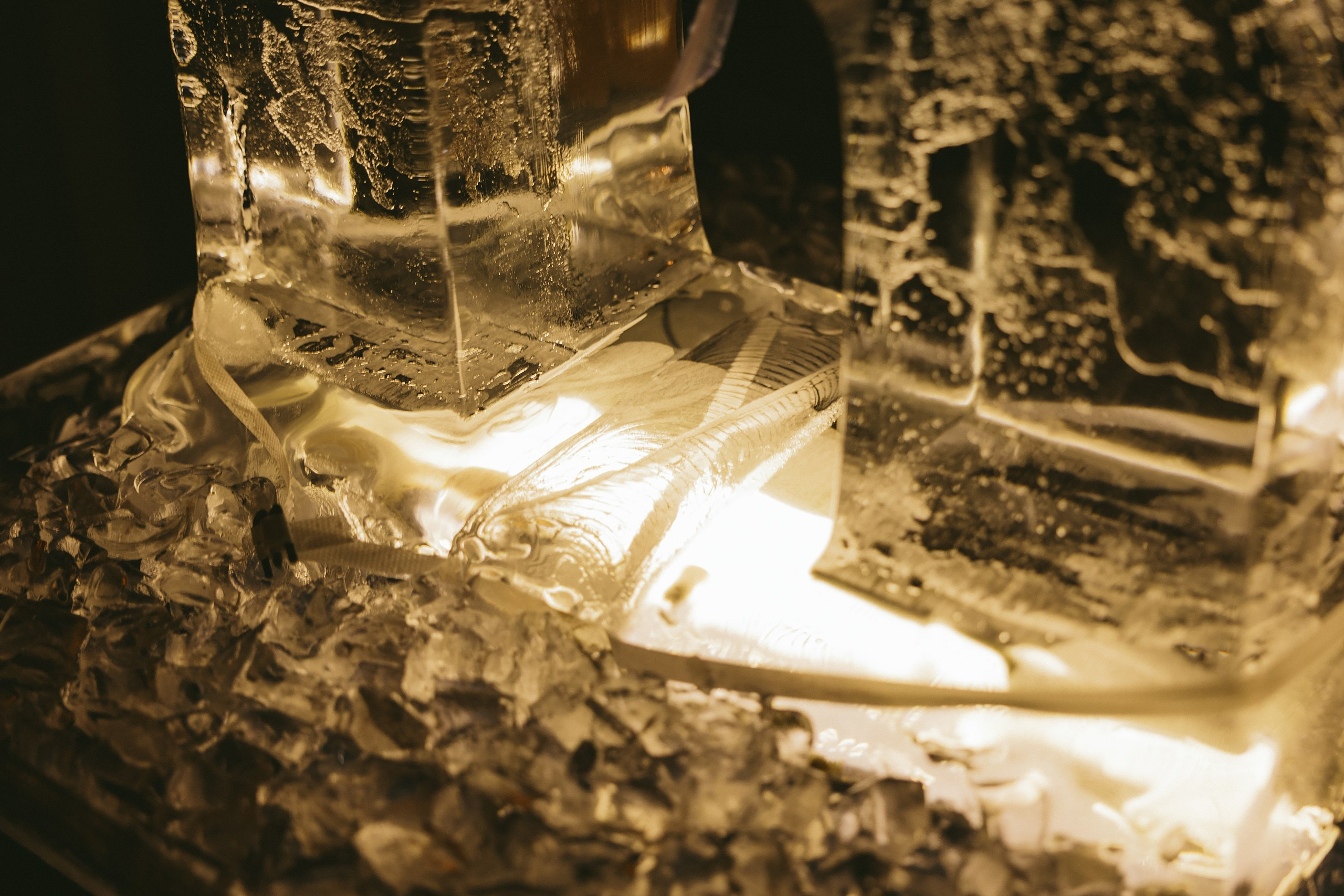 06.08.2025 Wedding. Wedding family event photographer in Chicago Nick Yushevich