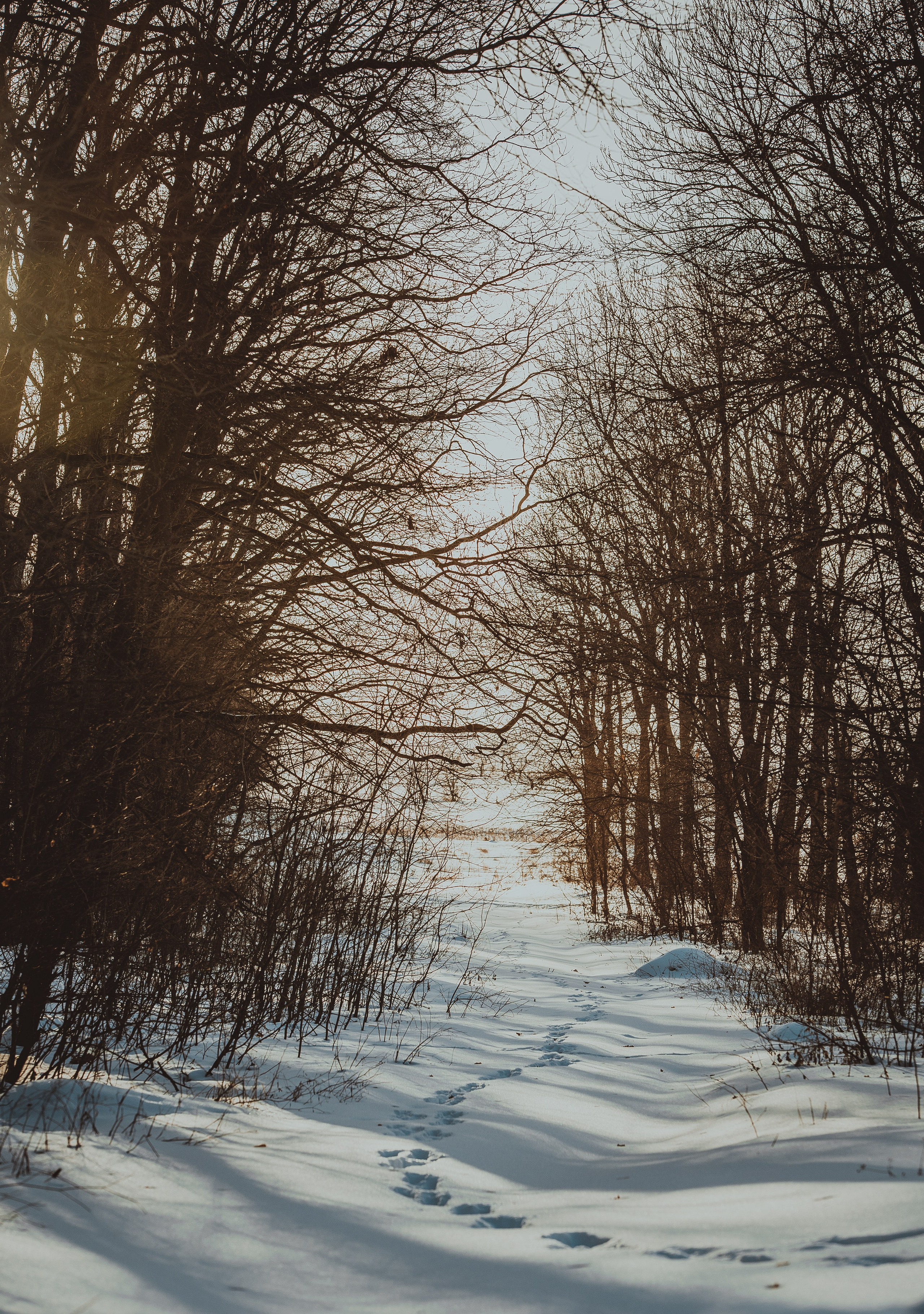 Chisinau. Fotograf de familie Vitalie Budoianu