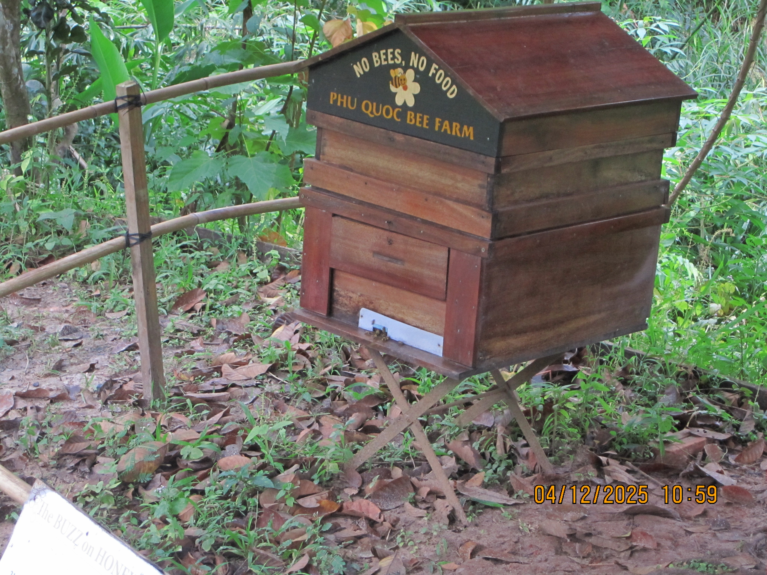 Kümnes päev. LondoSpeed Photography