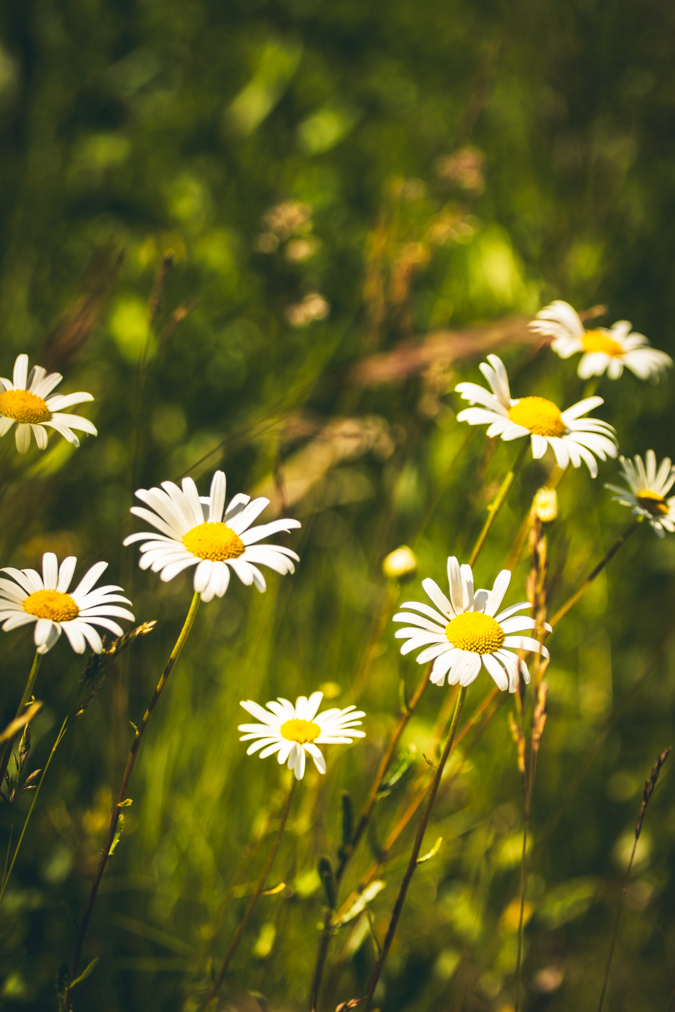 Jalgrattasõit ümbruskonnas. Nebula 25 — Fotod teie hingele