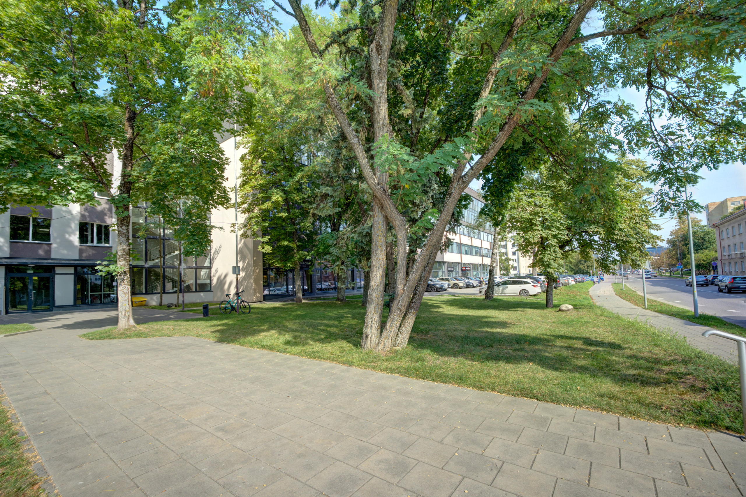 Saltoniškių g. 31. Elina Sapiega fotografė Vilniuje