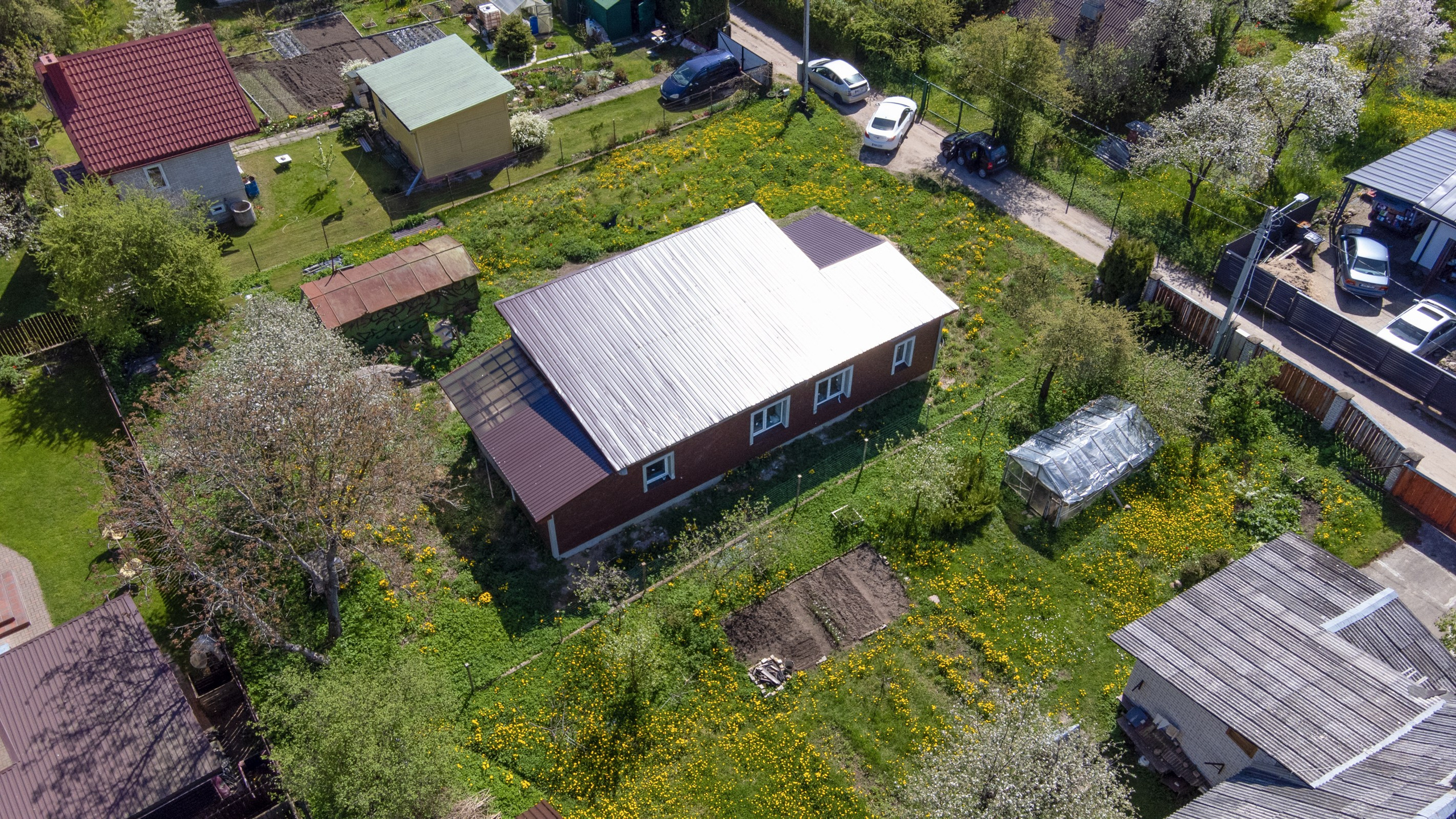 Kelmijos sodų 10-oji. Elina Sapiega fotografė Vilniuje