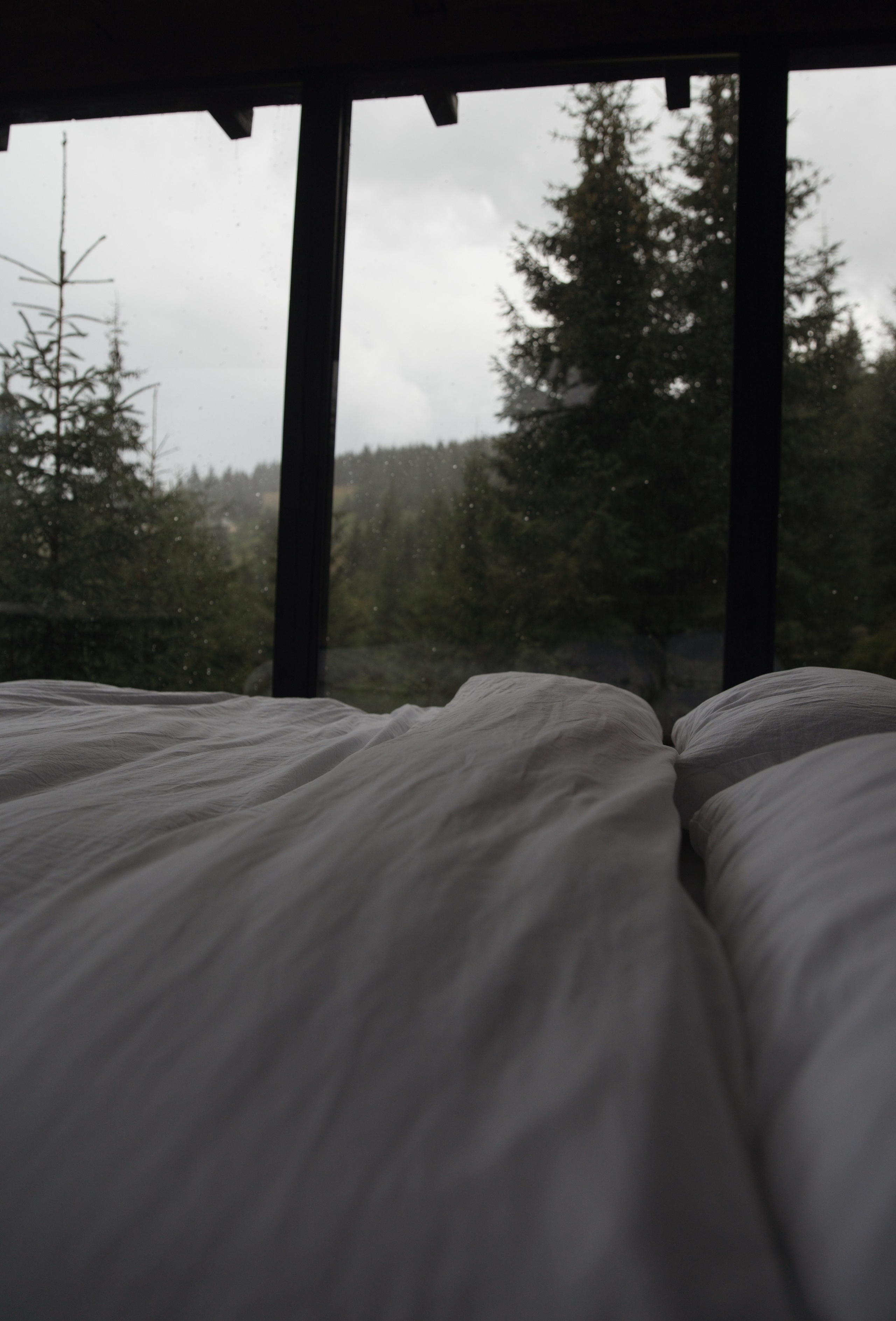 Airbnb Photos. Patricia Morenci — Mountain Adventures for the Wild at Heart