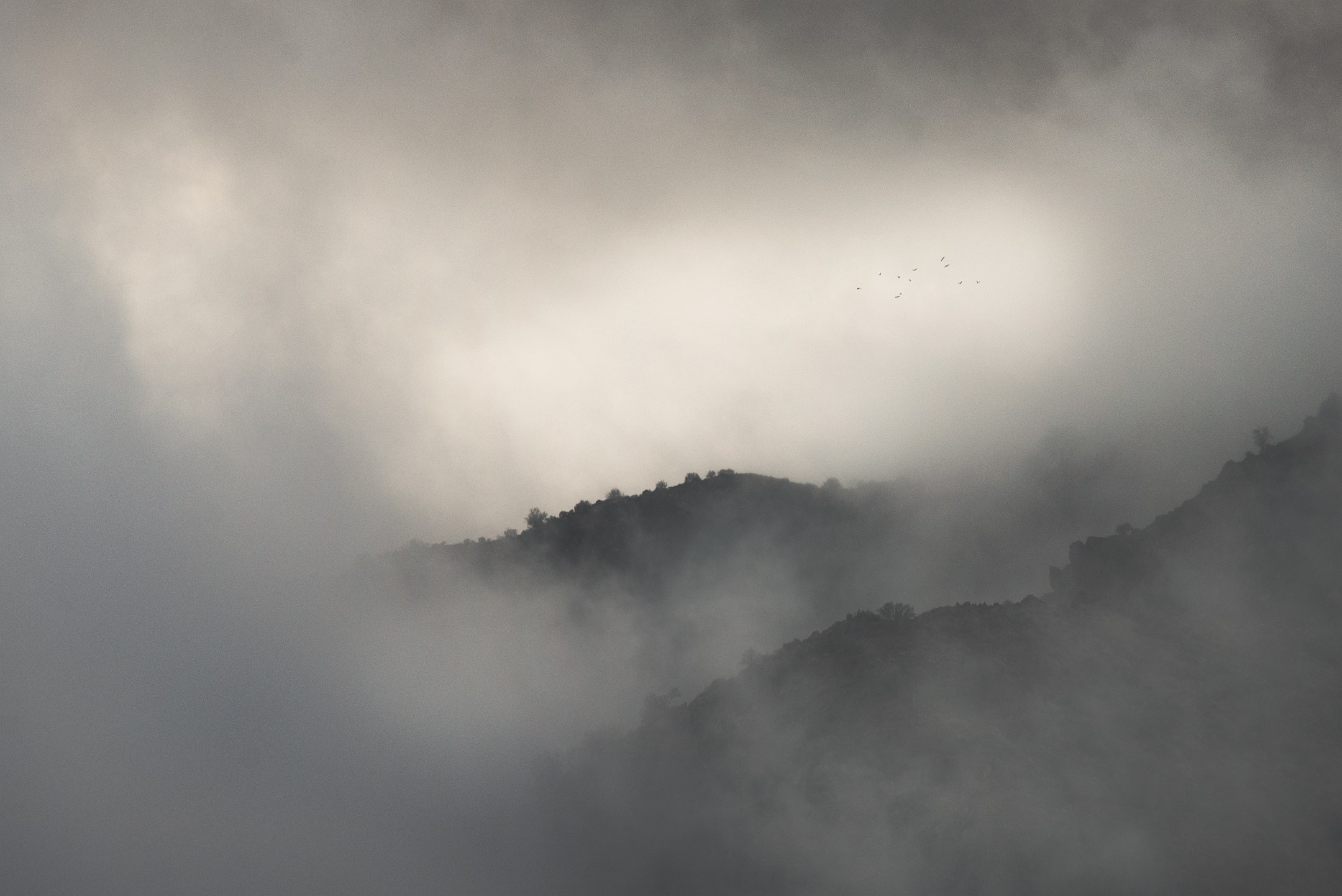 Landscape. Amirhamzeh Mashayekhi Photographer