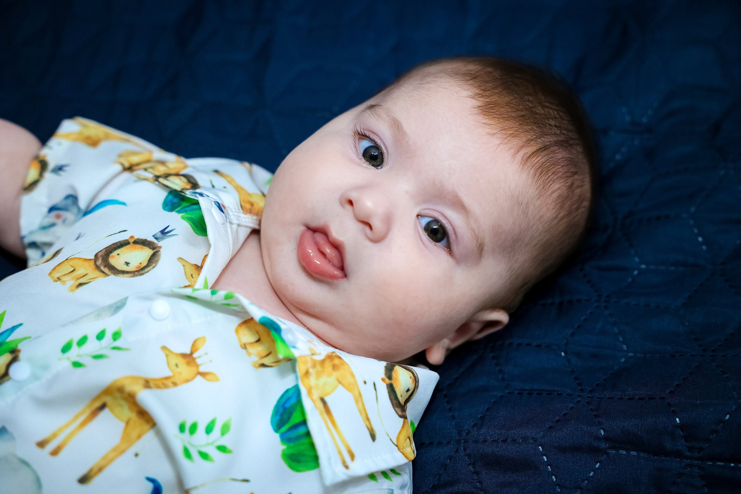 Andrei Damian. Moments By Gub