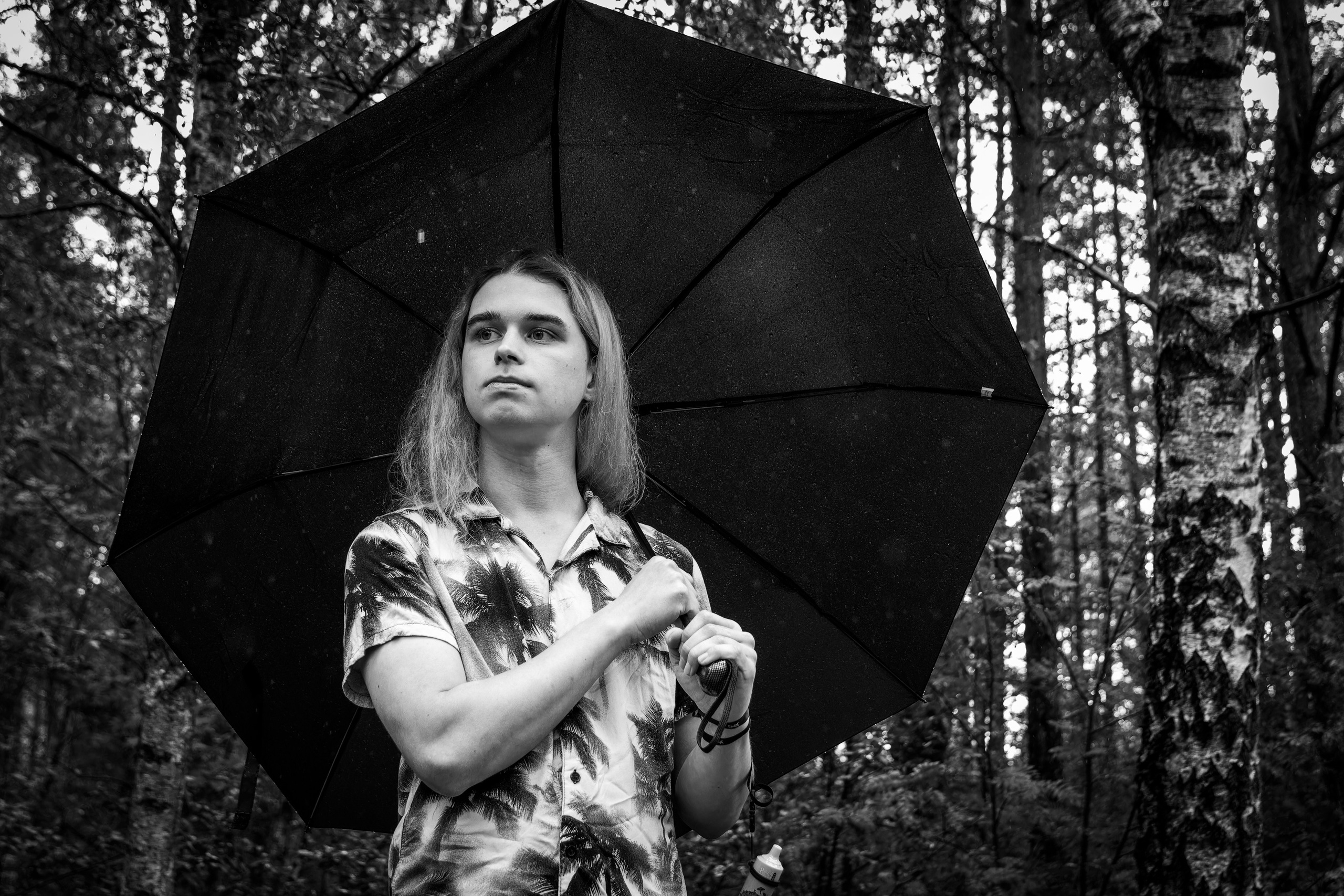 Mets, vihm ja jahedus (Dimitry). Nebula 25 — Fotod teie hingele