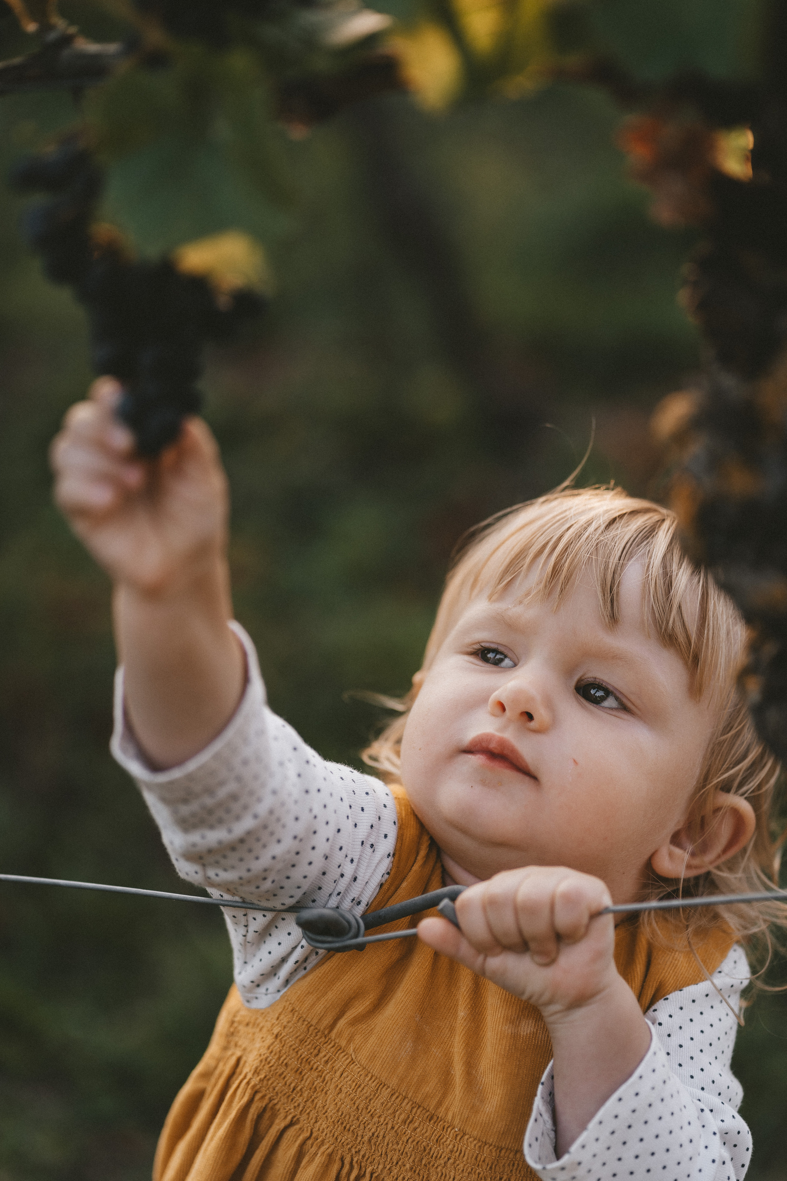 Lifestyle. Fotograf aus Künzelsau. Kinder- und Familienfoto-Sessions