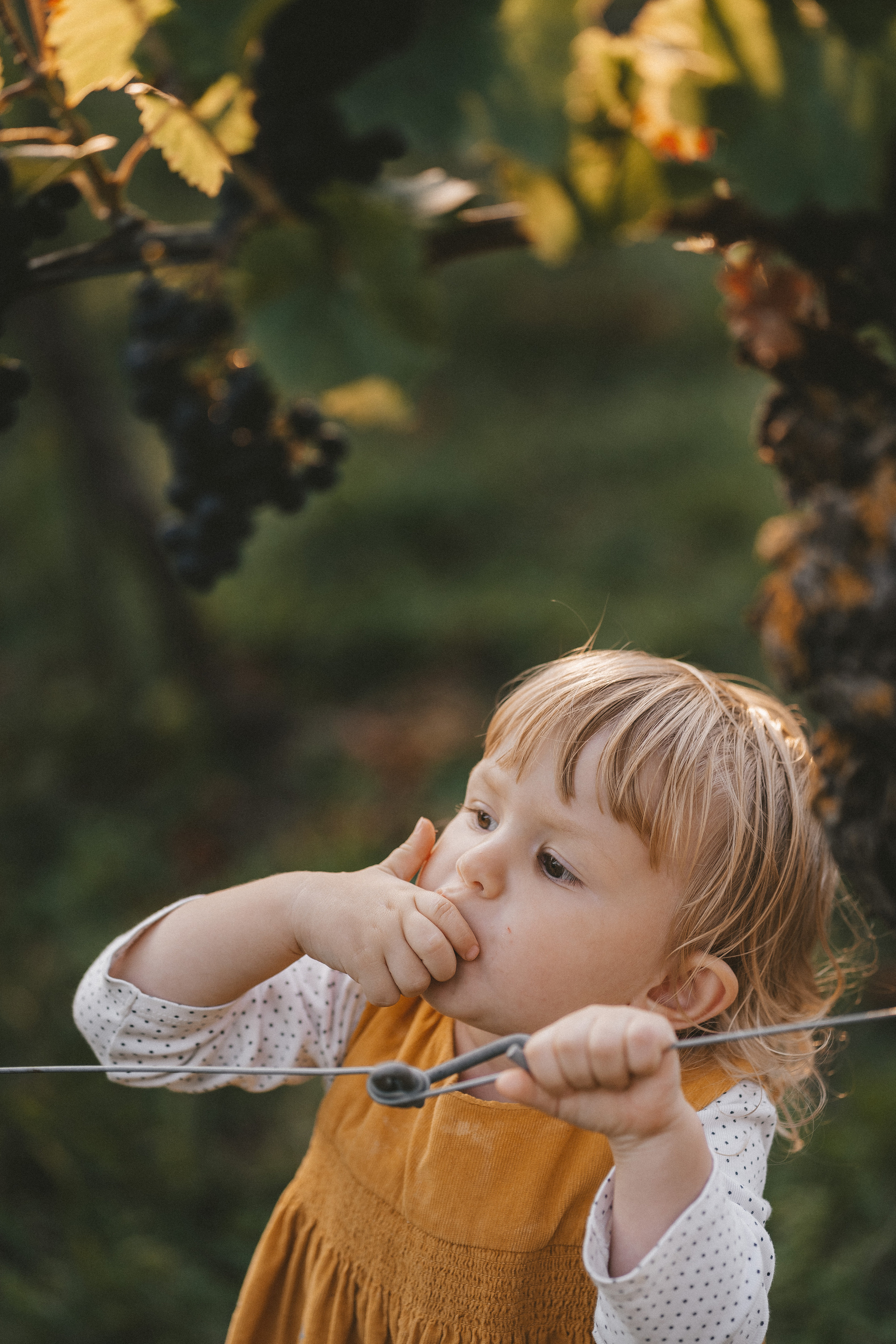 Lifestyle. Fotograf aus Künzelsau. Kinder- und Familienfoto-Sessions