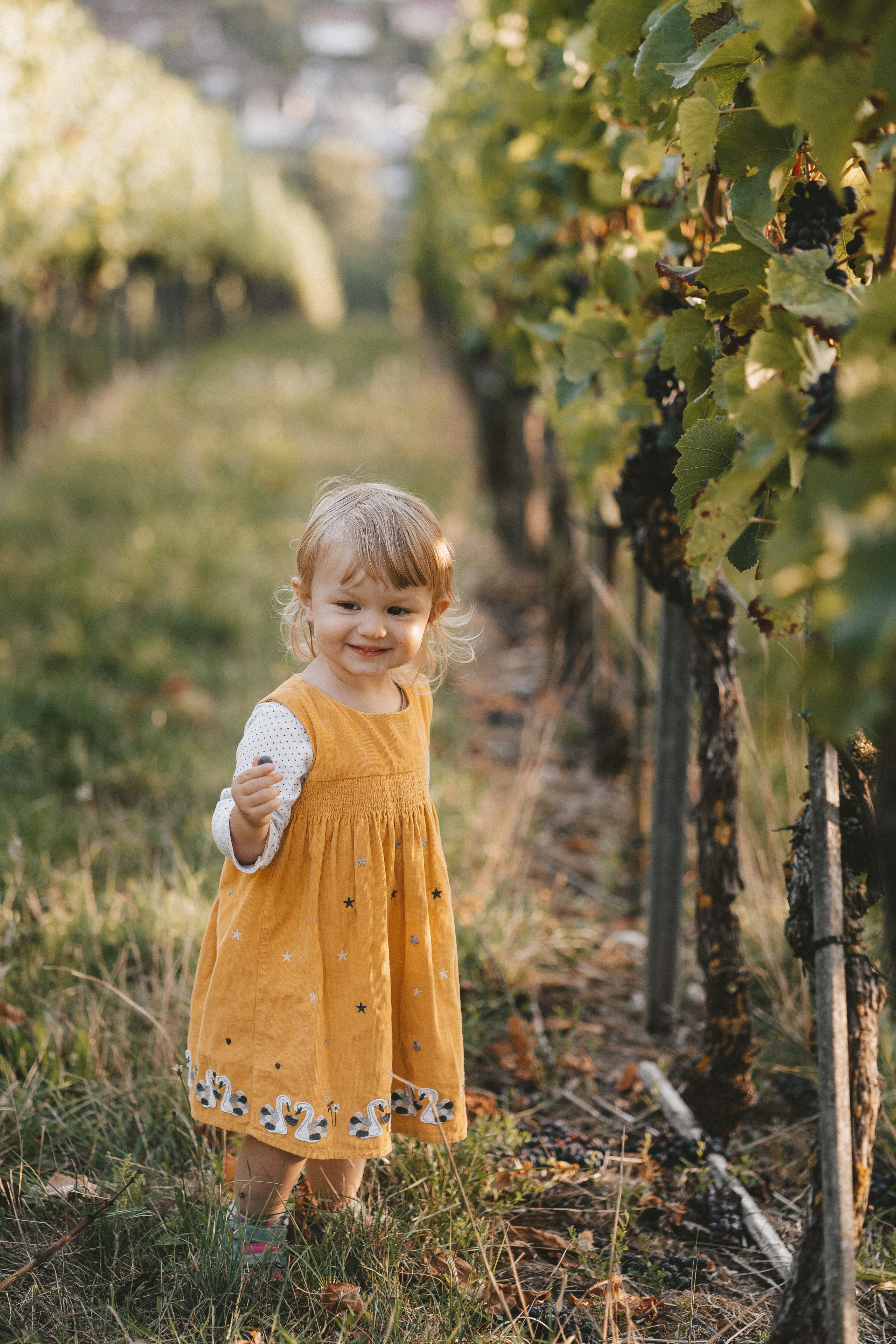 Lifestyle. Fotograf aus Künzelsau. Kinder- und Familienfoto-Sessions