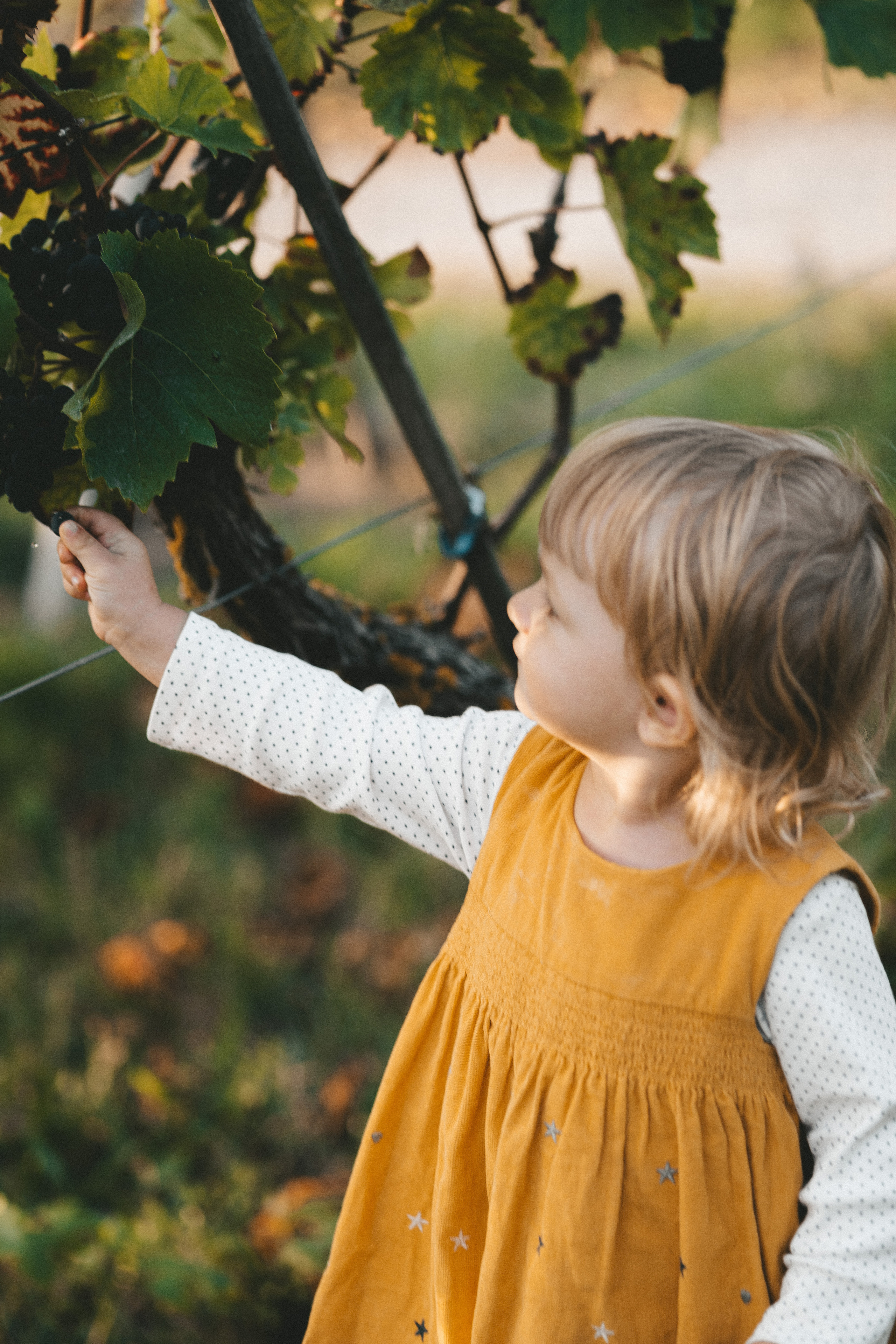 Lifestyle. Fotograf aus Künzelsau. Kinder- und Familienfoto-Sessions