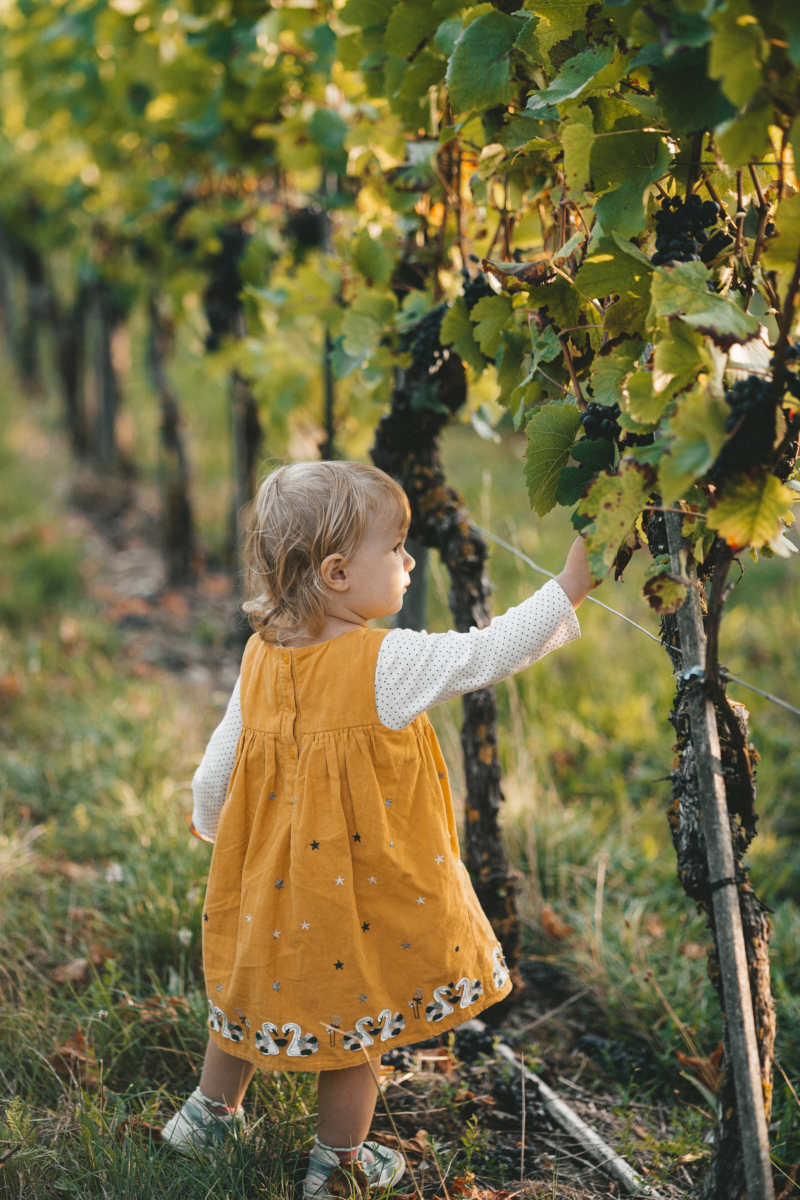 Lifestyle. Fotograf aus Künzelsau. Kinder- und Familienfoto-Sessions