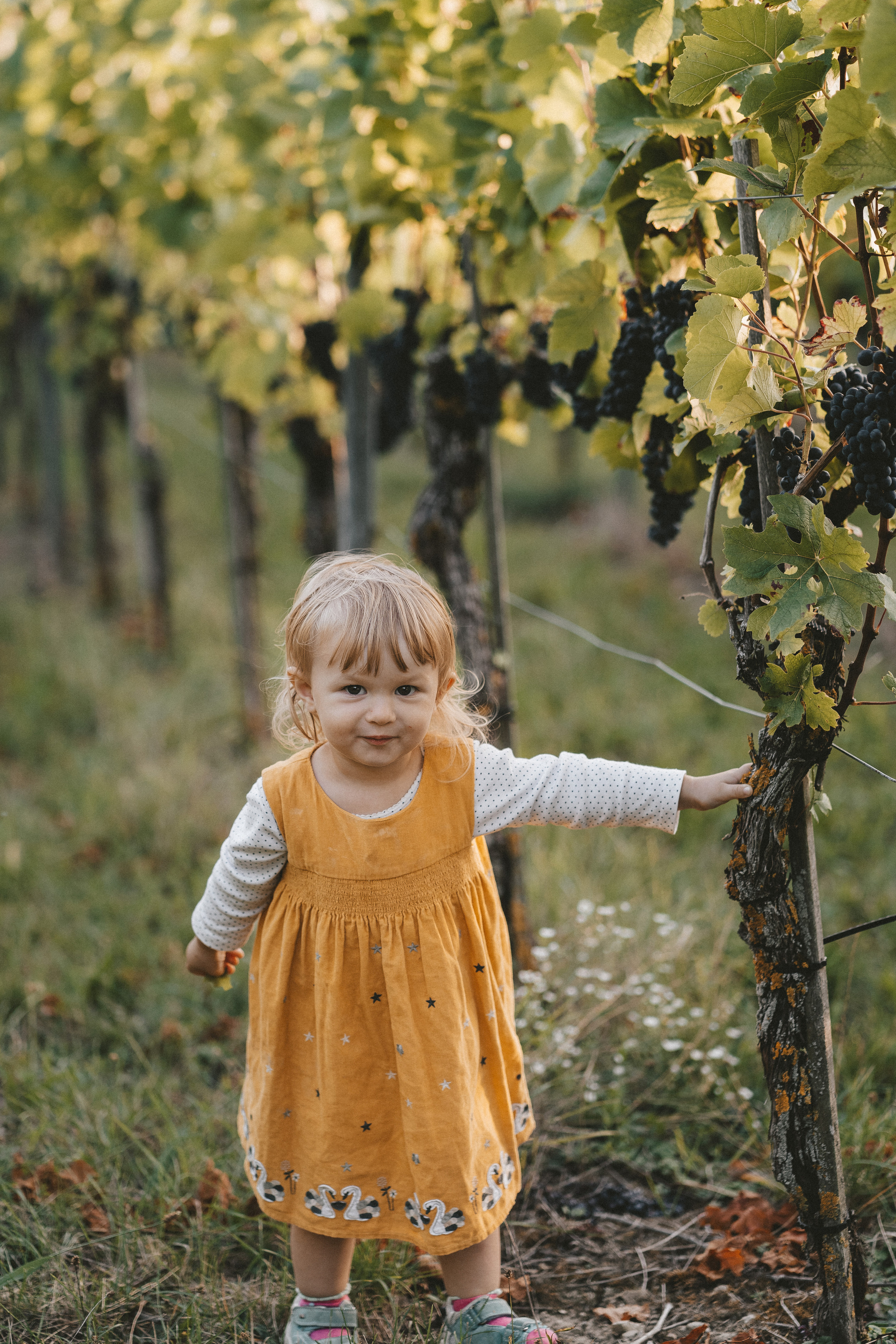 Lifestyle. Fotograf aus Künzelsau. Kinder- und Familienfoto-Sessions