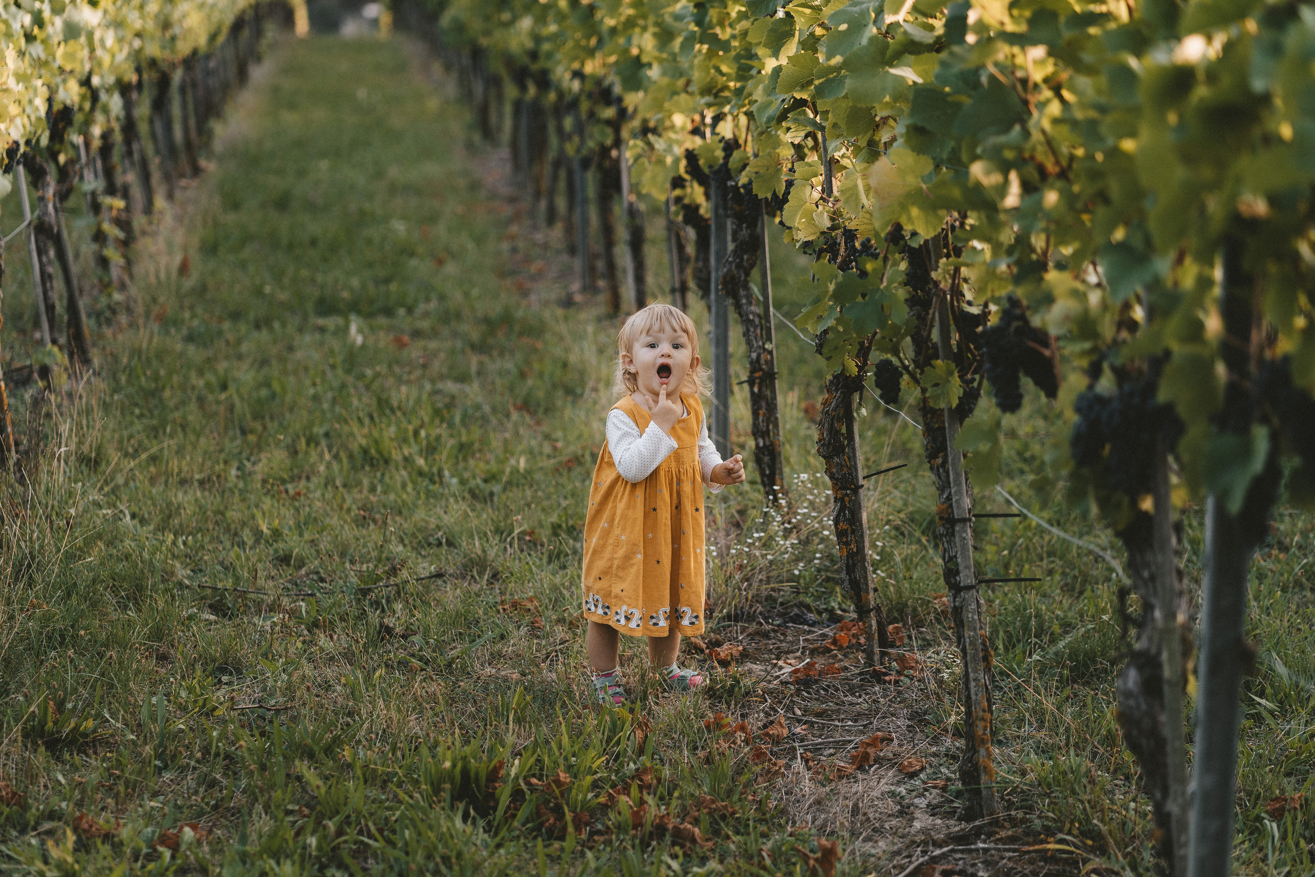 Lifestyle. Fotograf aus Künzelsau. Kinder- und Familienfoto-Sessions