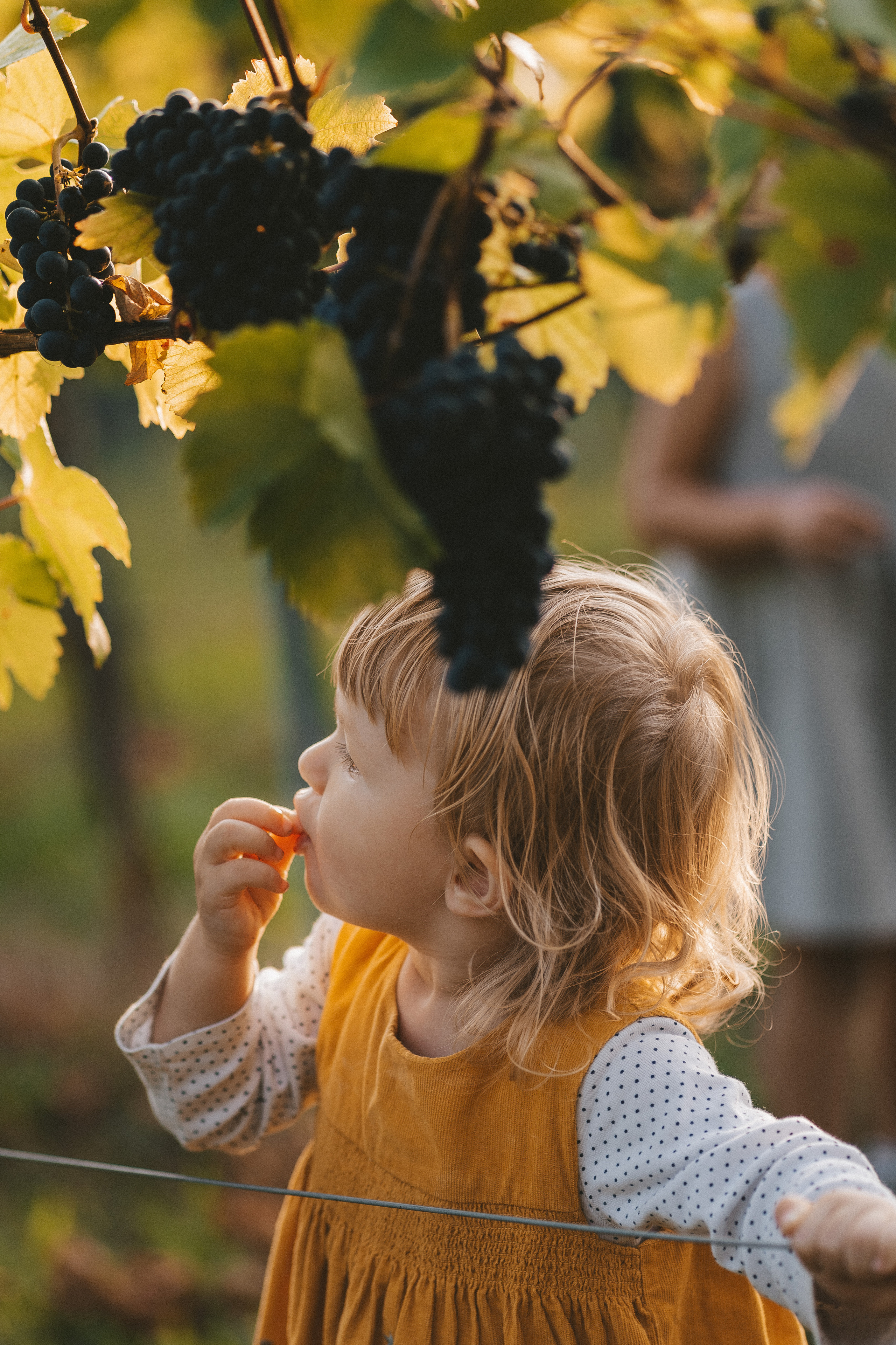 Lifestyle. Fotograf aus Künzelsau. Kinder- und Familienfoto-Sessions