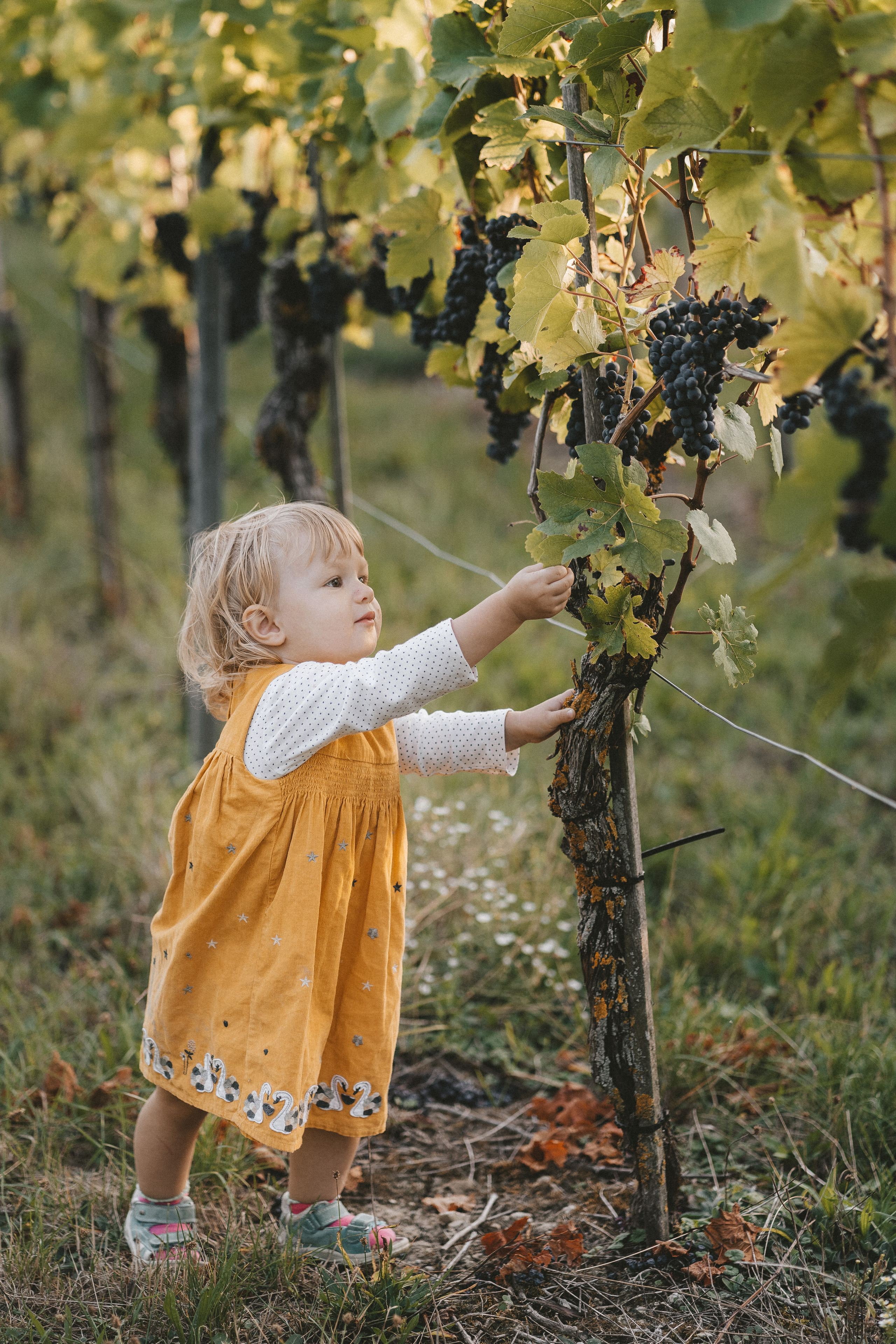 Lifestyle. Fotograf aus Künzelsau. Kinder- und Familienfoto-Sessions