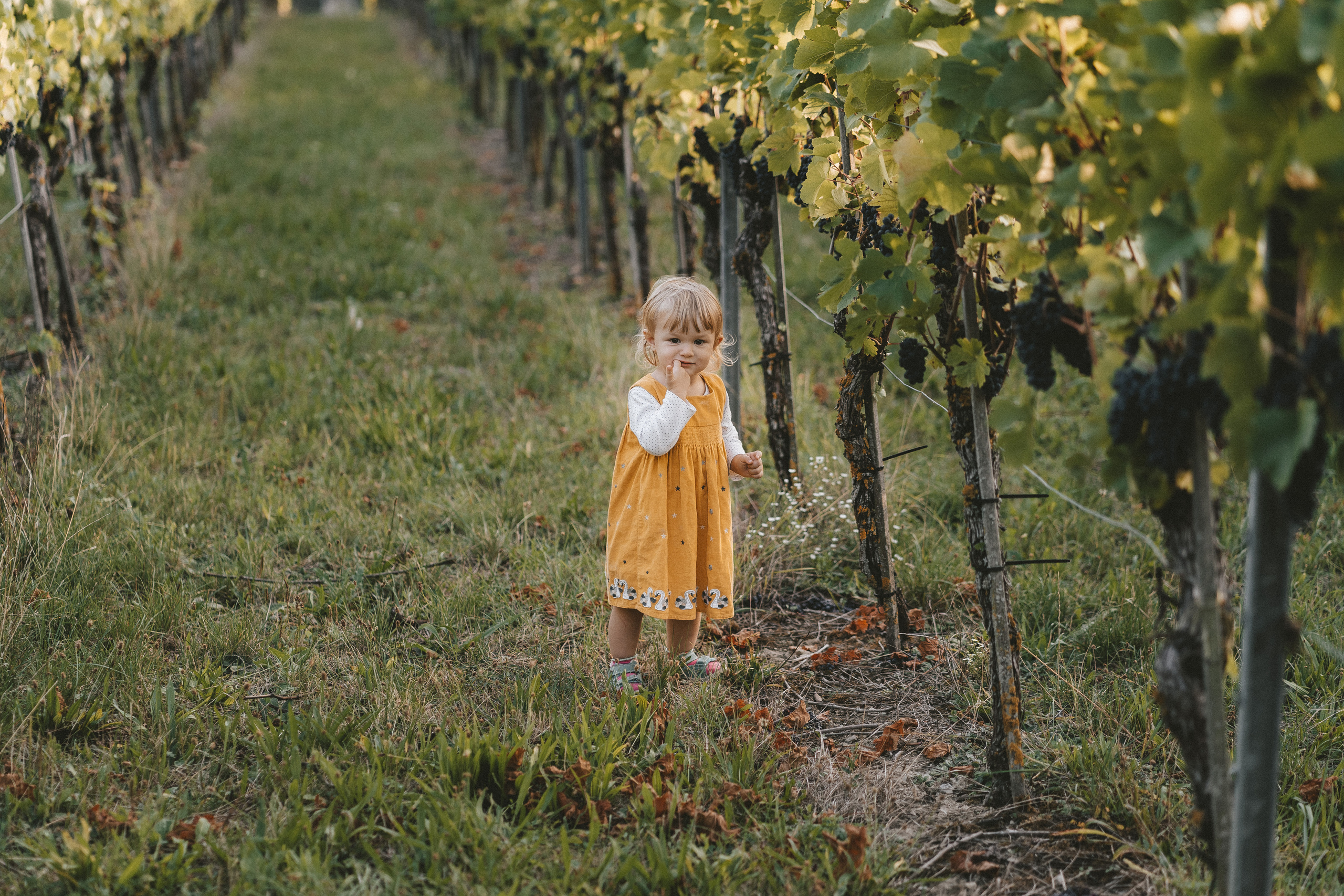 Lifestyle. Fotograf aus Künzelsau. Kinder- und Familienfoto-Sessions