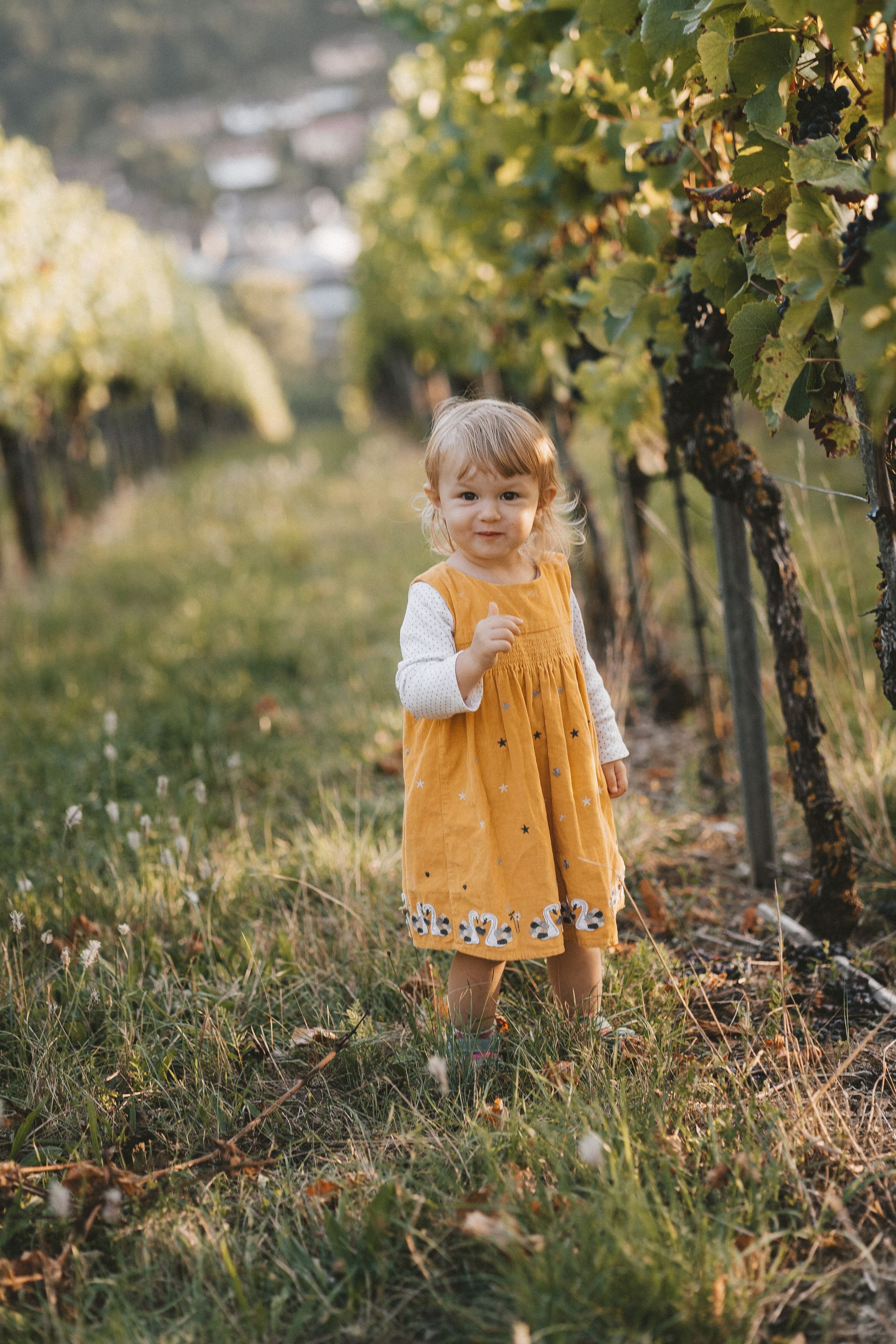Lifestyle. Fotograf aus Künzelsau. Kinder- und Familienfoto-Sessions
