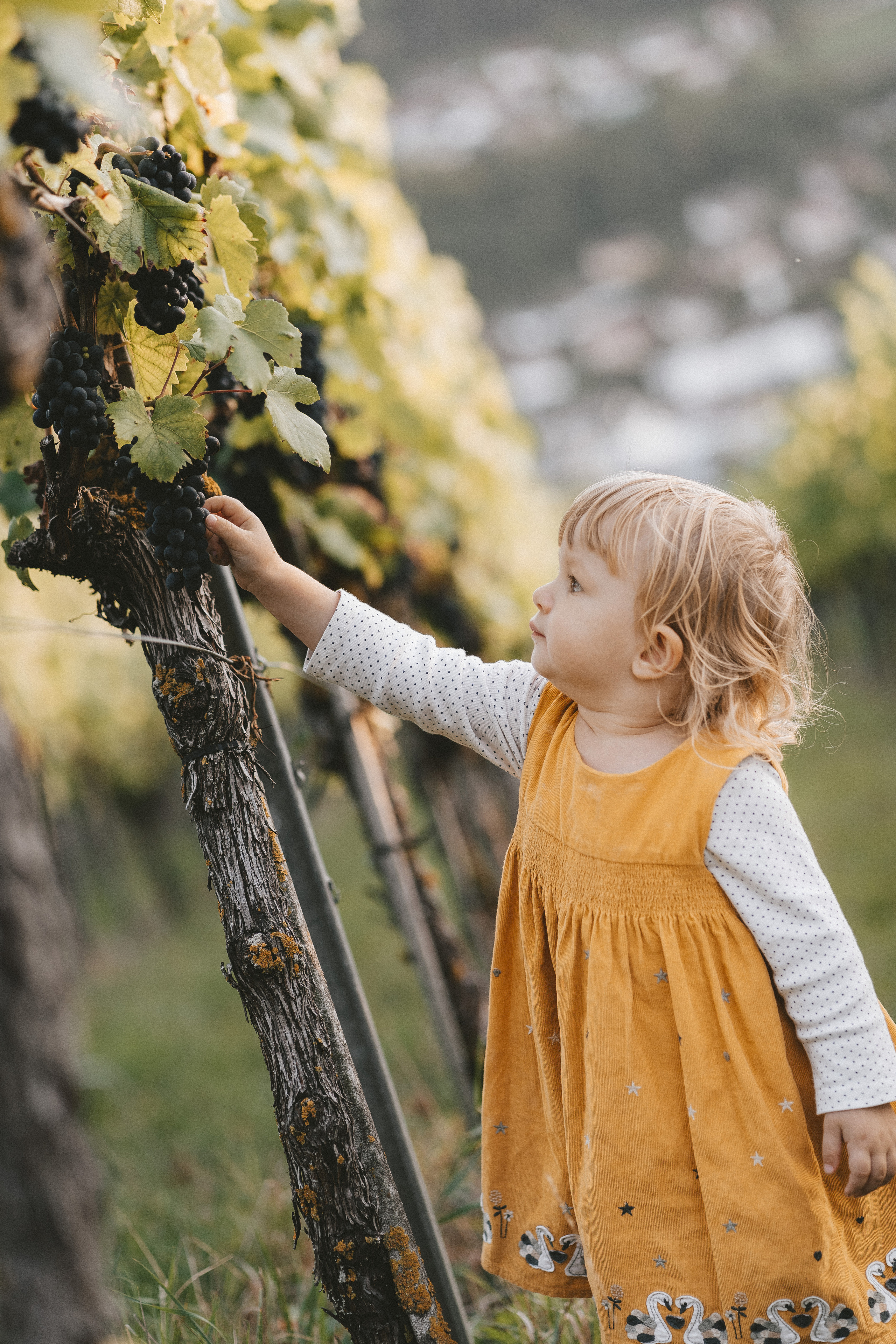 Lifestyle. Fotograf aus Künzelsau. Kinder- und Familienfoto-Sessions