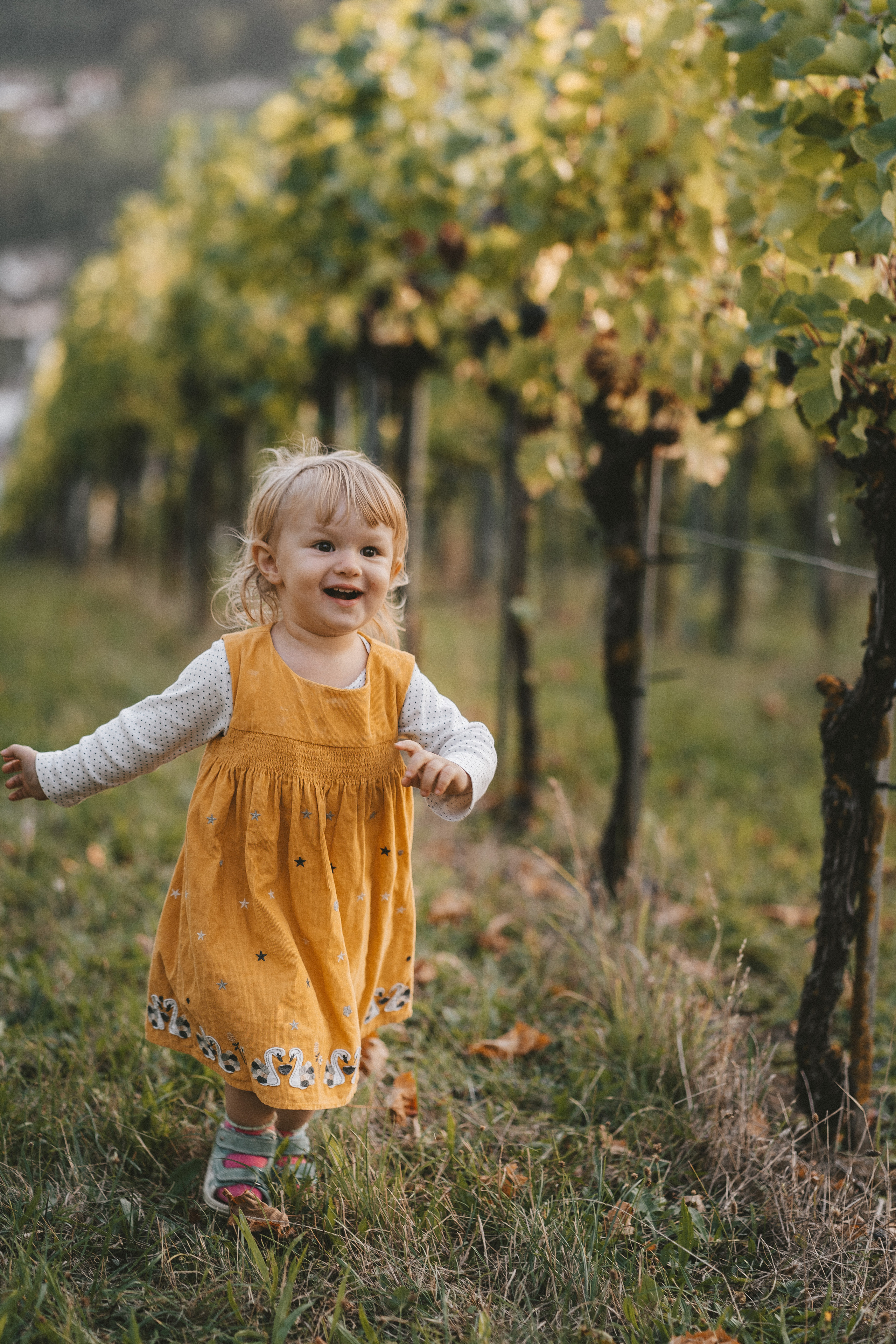 Lifestyle. Fotograf aus Künzelsau. Kinder- und Familienfoto-Sessions