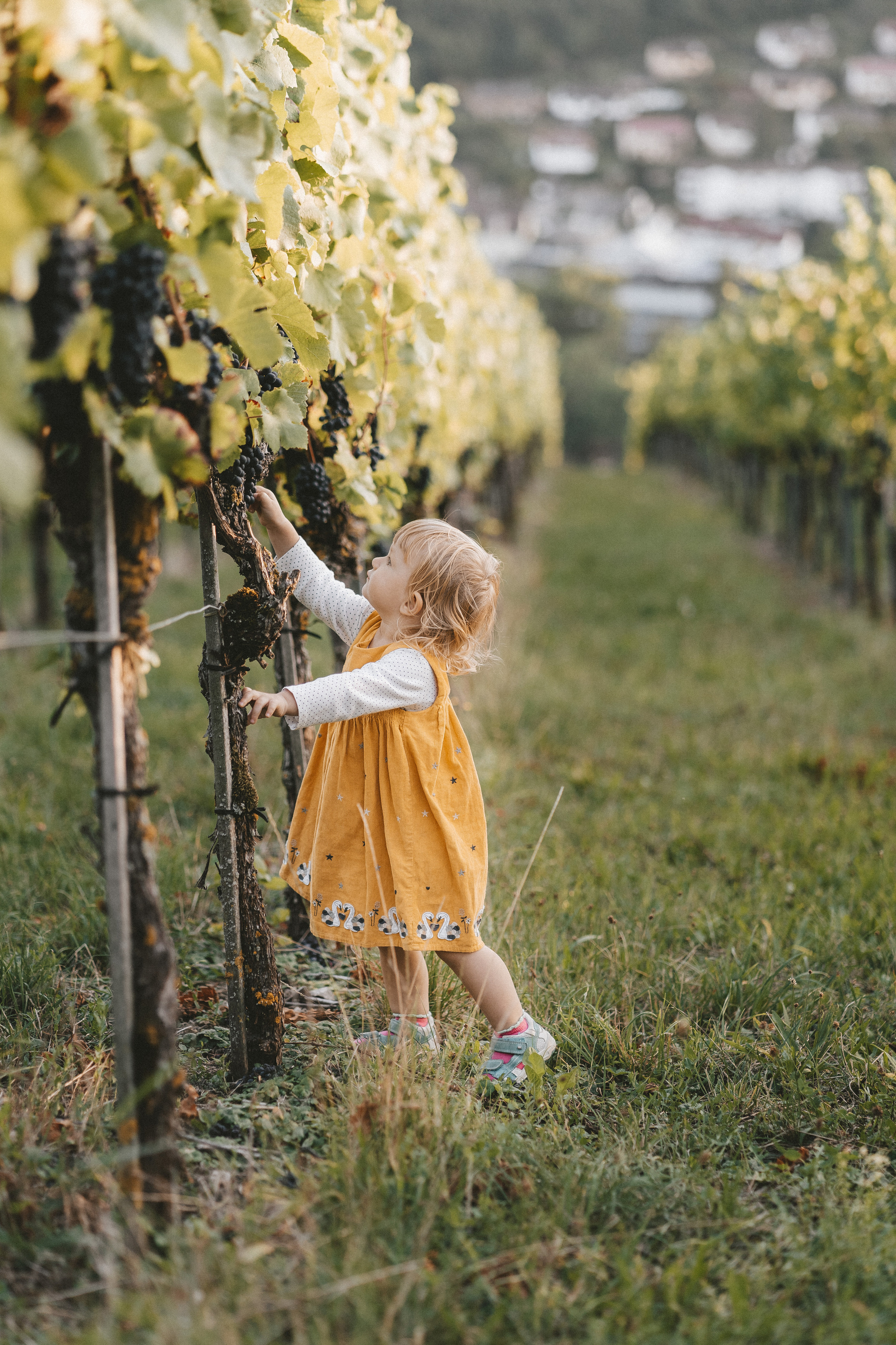 Lifestyle. Fotograf aus Künzelsau. Kinder- und Familienfoto-Sessions