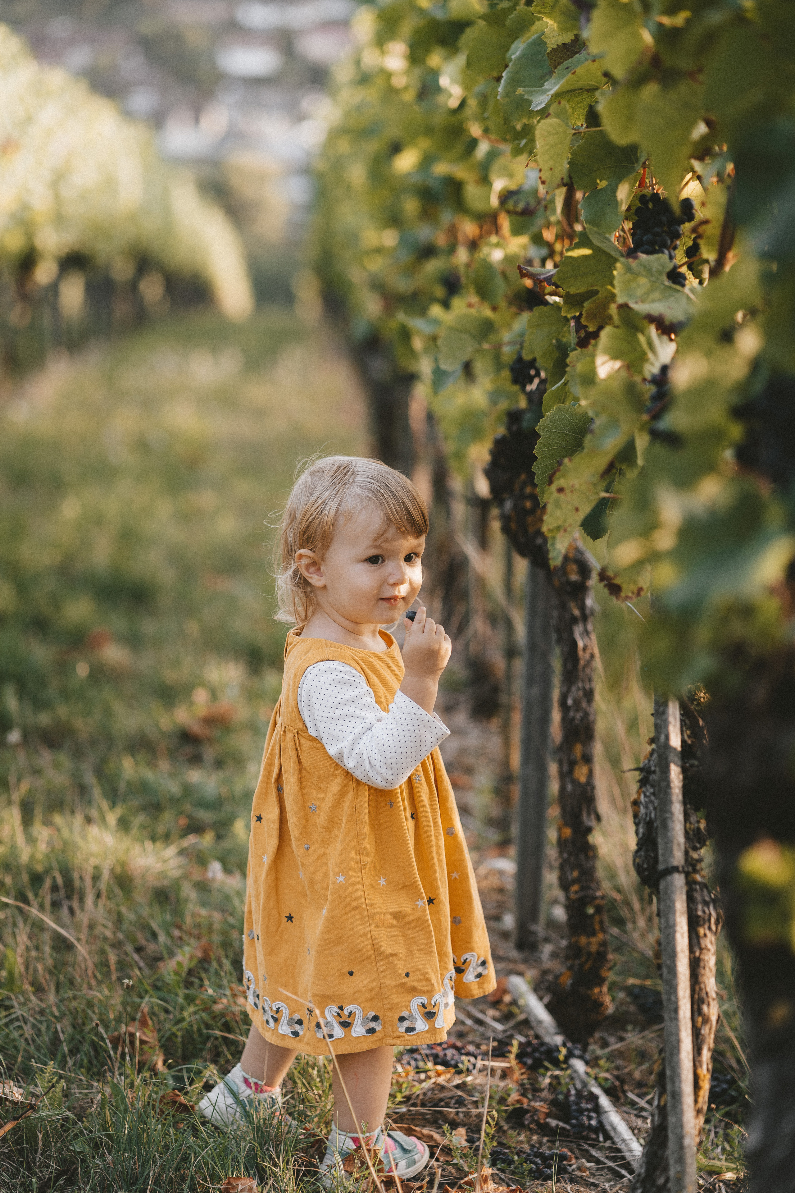 Lifestyle. Fotograf aus Künzelsau. Kinder- und Familienfoto-Sessions