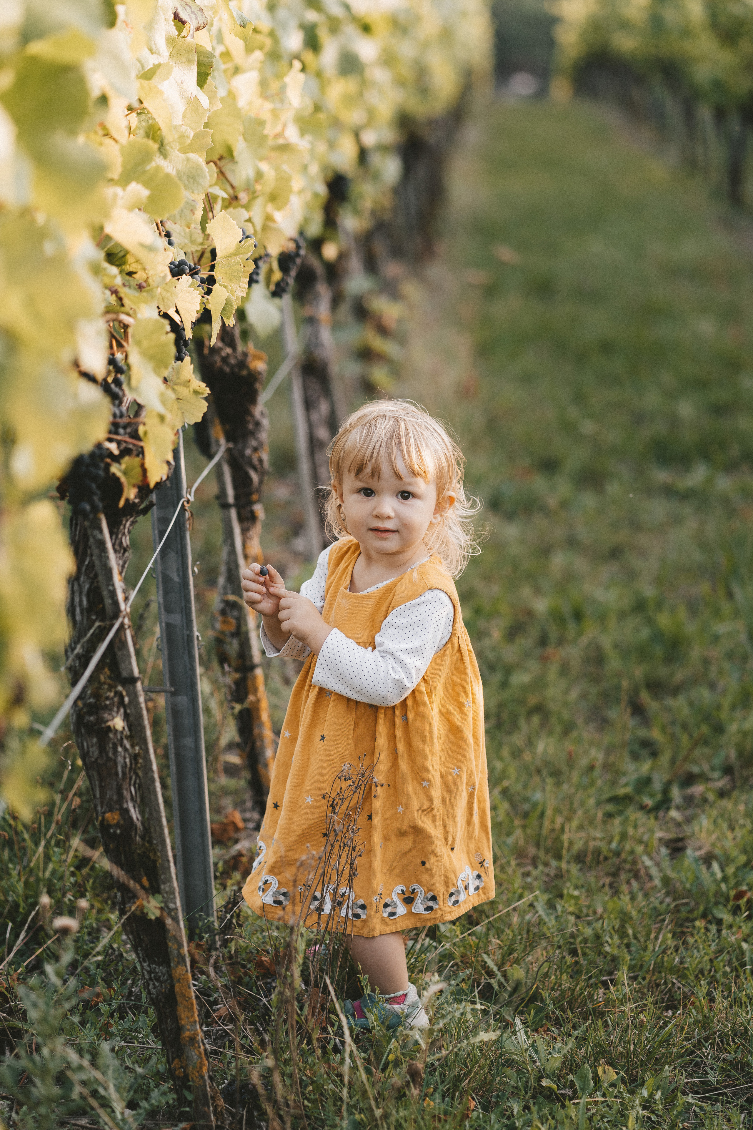 Lifestyle. Fotograf aus Künzelsau. Kinder- und Familienfoto-Sessions
