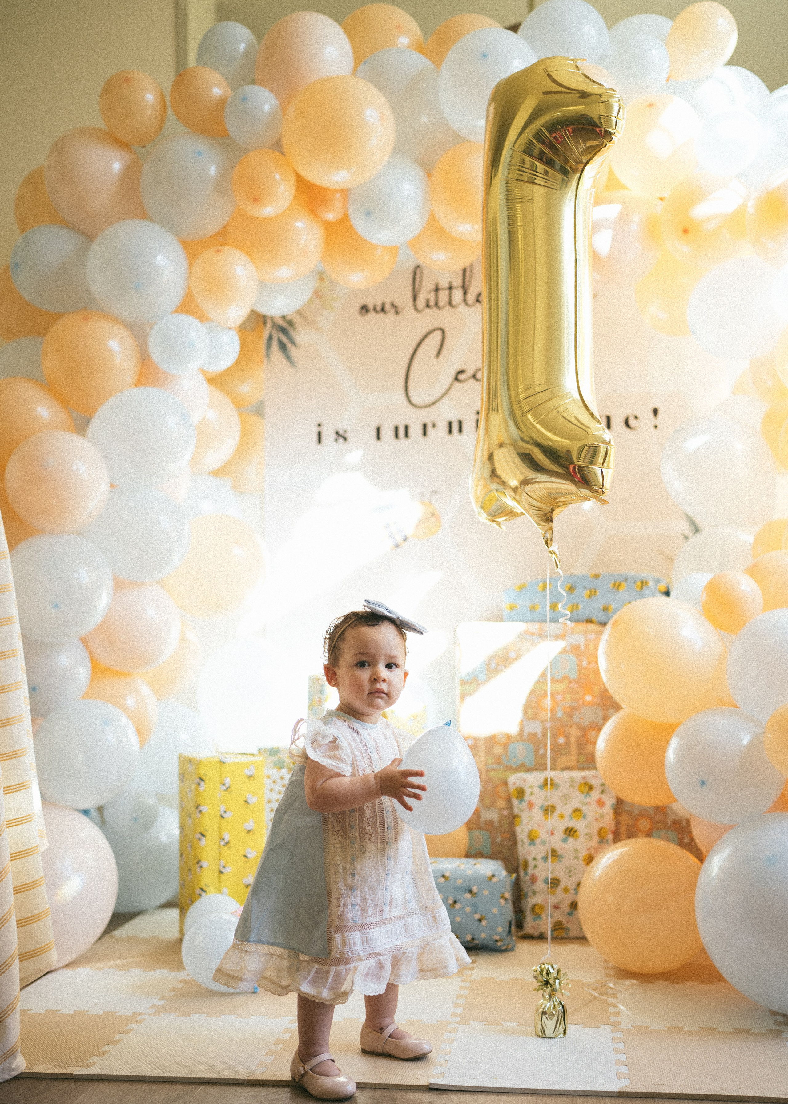 Ceccilia’s First Birthday. Soulo Photography | San Francisco Bay Area Based Photographer