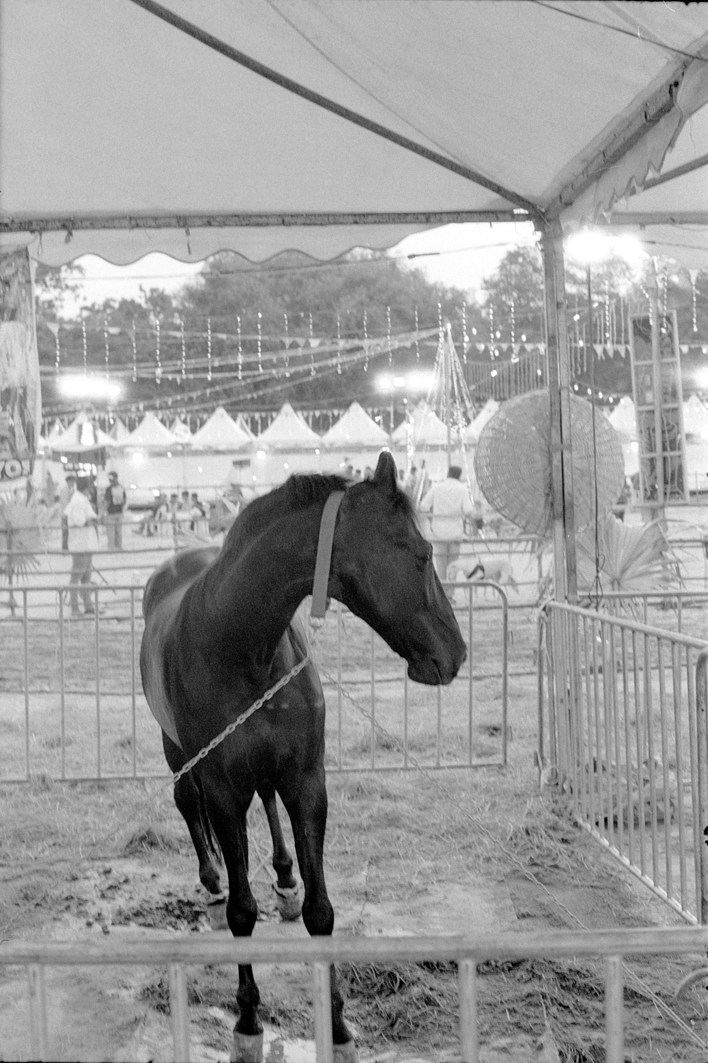 Everything on Film. Portrait, Fashion & Fitness Photography in Chennai| SunnyHazePhotography