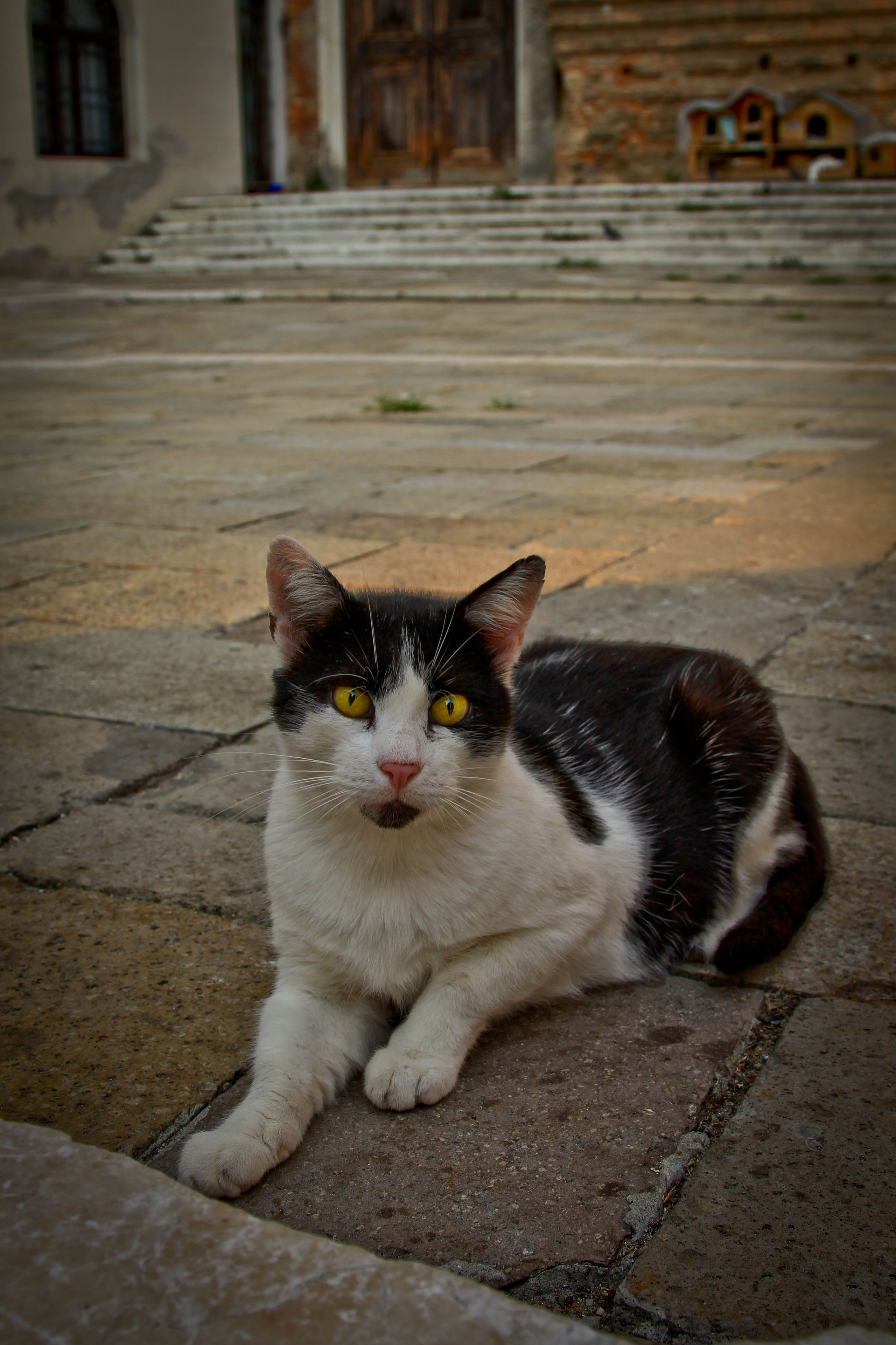 ИТАЛИЯ. Стрит-фотография, полная абсурда, идиотизма и красоты