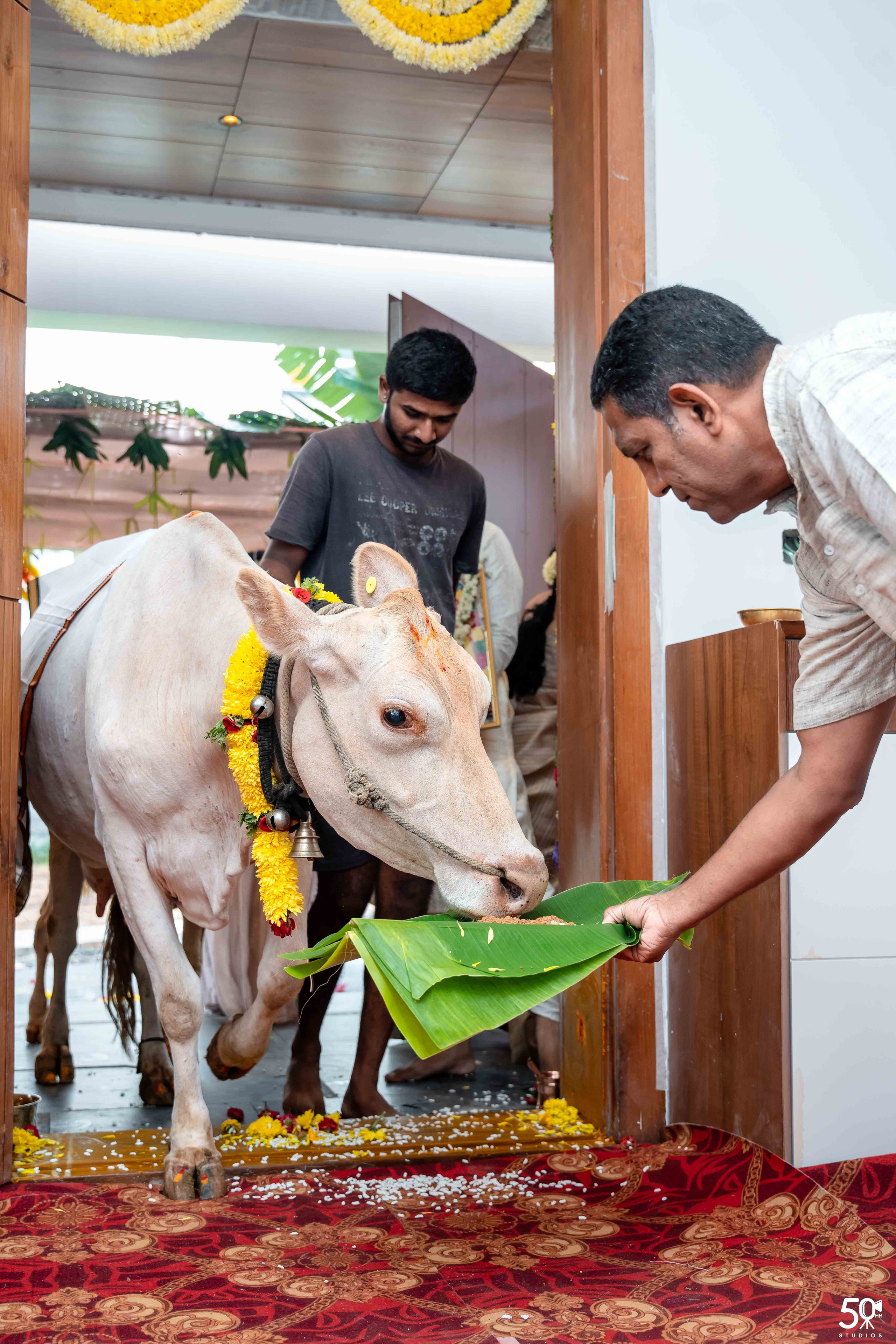 DWARAKADEESHA GRUHAPRAVESHA. 50mm STUDIOS