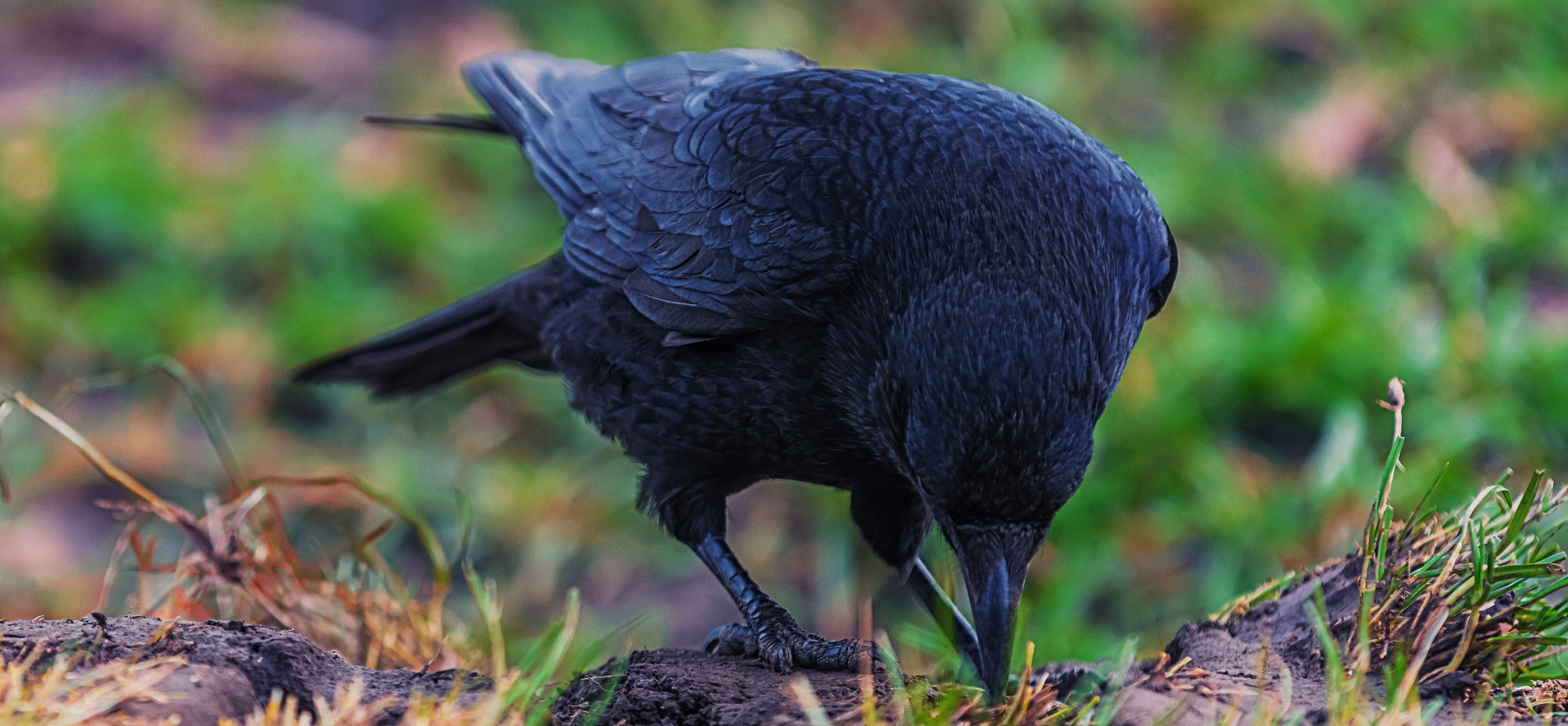 Kontakte. LUKIN IGOR Photography