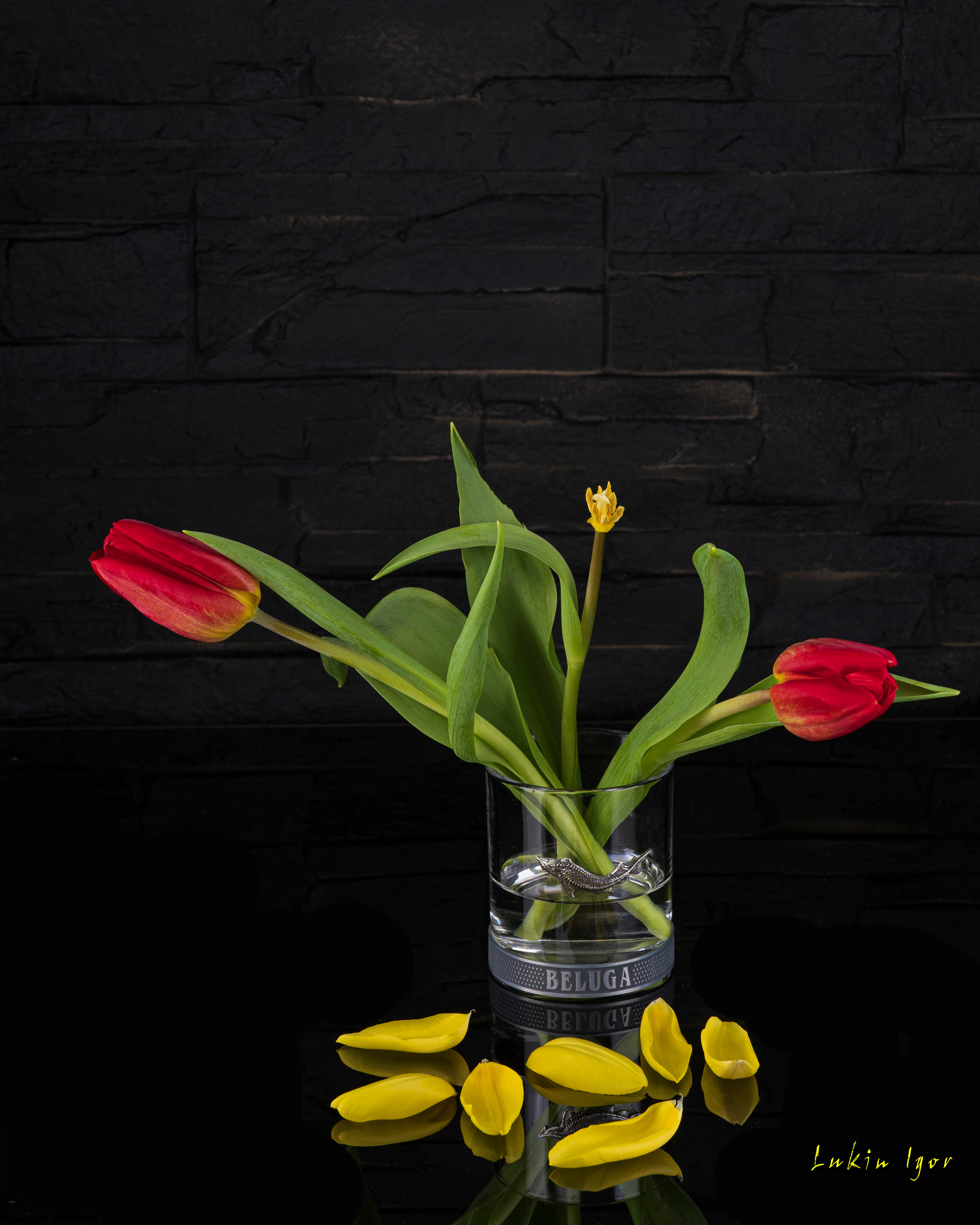 Blumen. LUKIN IGOR Photography